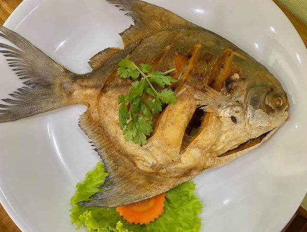 บ้านสวนลุงไข่, พี่เชษฐ์, Sawasdee-CuP Samui, ร้านอาหารข้าวหอม เกาะสมุย, ครัวชาวบ้าน, ท่าเรือสมุยซีฟู้ด, เสบียงเล, Mira Serene, โกเซ้ง เกาะสมุย, ครัวเสวยสมุย, The Roof Samui, มิสสมุย, Jam restaurant