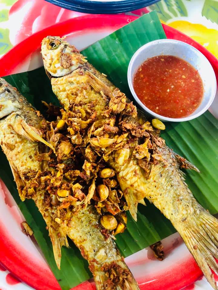 บ้านสวนลุงไข่, พี่เชษฐ์, Sawasdee-CuP Samui, ร้านอาหารข้าวหอม เกาะสมุย, ครัวชาวบ้าน, ท่าเรือสมุยซีฟู้ด, เสบียงเล, Mira Serene, โกเซ้ง เกาะสมุย, ครัวเสวยสมุย, The Roof Samui, มิสสมุย, Jam restaurant