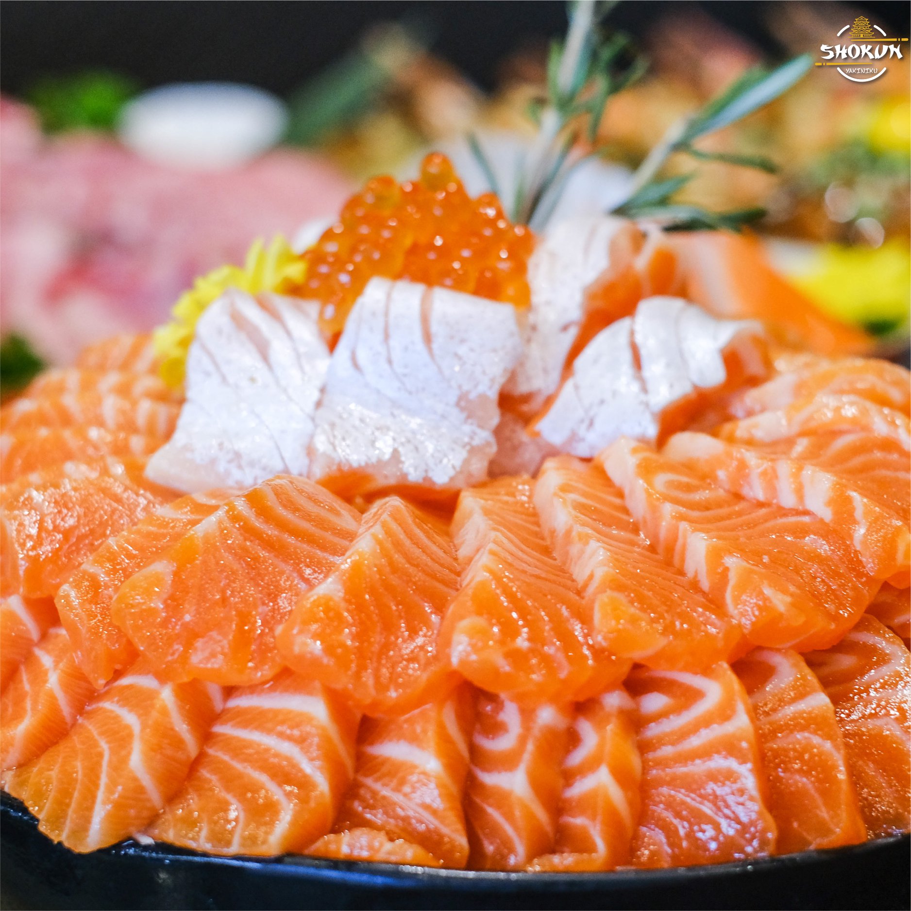 Shokunyakiniku, Mr.Gung Korean BBQ, Shabu Lion, Panda Shabu, SHABU KONG Thalang, อิ่มเอมหมูกะทะ, เฮงเฮงหมูกระทะบุฟเฟ่ต์ภูเก็ต, ฉลองบุฟเฟ่ต์ Chalong Buffet, กินรึยัง ชาบูบุฟเฟต์ ภูเก็ต