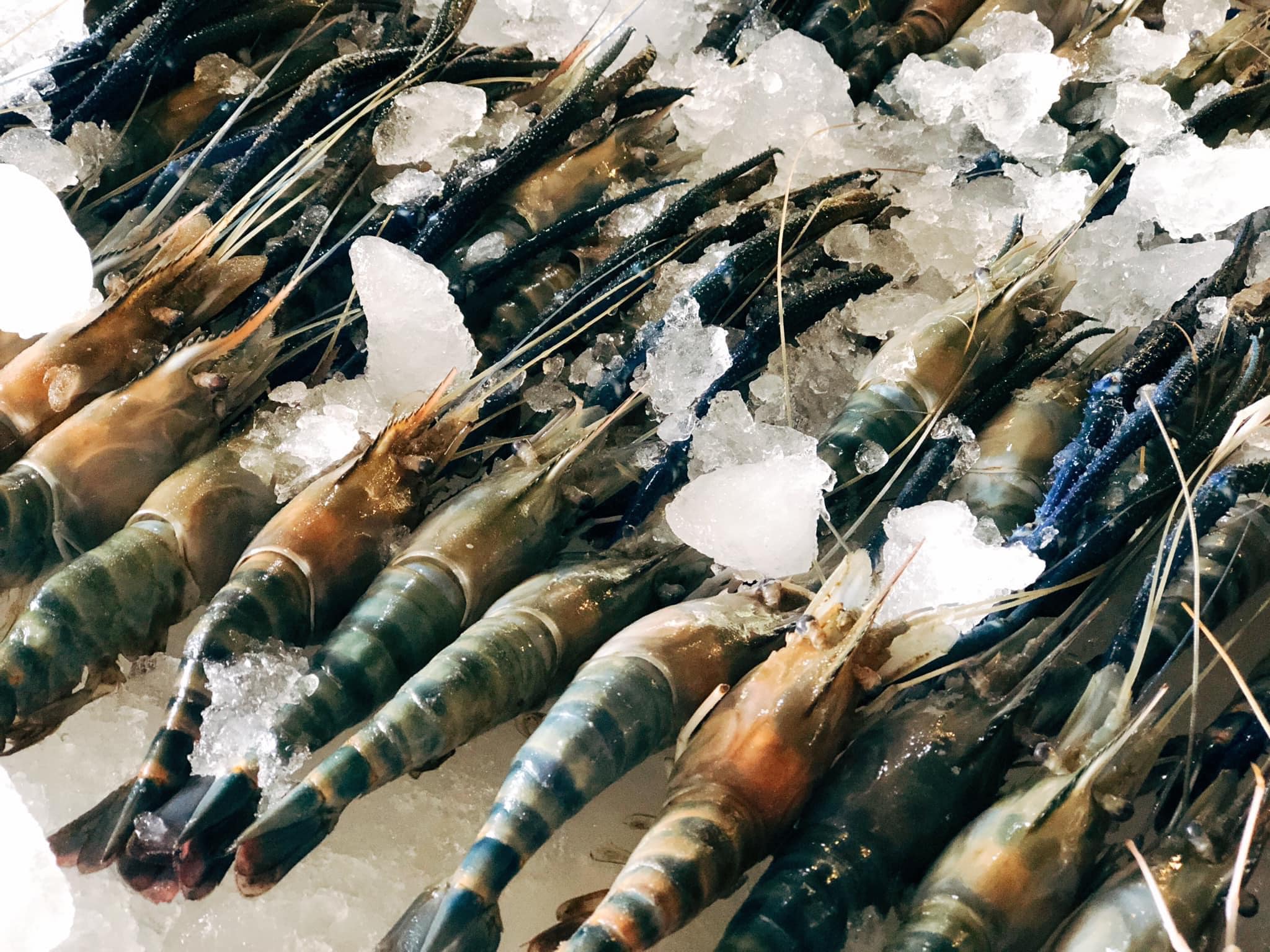 Shokunyakiniku, Mr.Gung Korean BBQ, Shabu Lion, Panda Shabu, SHABU KONG Thalang, อิ่มเอมหมูกะทะ, เฮงเฮงหมูกระทะบุฟเฟ่ต์ภูเก็ต, ฉลองบุฟเฟ่ต์ Chalong Buffet, กินรึยัง ชาบูบุฟเฟต์ ภูเก็ต