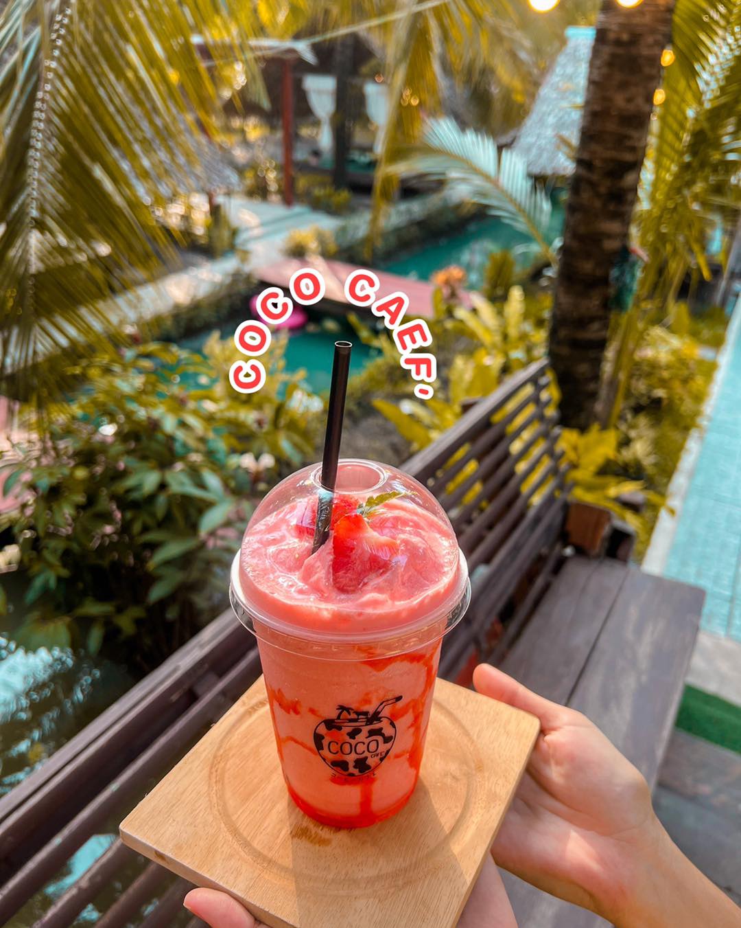 เรือนชายน้ำ Cafe&amp;Restaurant, ban.jingjo, See Sea Sun - แบบง่ายๆ, ขวัญข้าว ริเวอร์ไซด์, The sunflower cafe, KokoroCafe', FREJA Coffee &amp; Co, Rays River Cafe, Behind The Beans, พร้าวหอมคาเฟ่, Kinlamoon, House Cafe', บ้านสวนพาฝัน, La Bella Cafe, PakPap Cafe, ขมุน คาเฟ่ มหาชัย, Baanthaicafe, ดีกัน คาเฟ่, COCO CAFE'