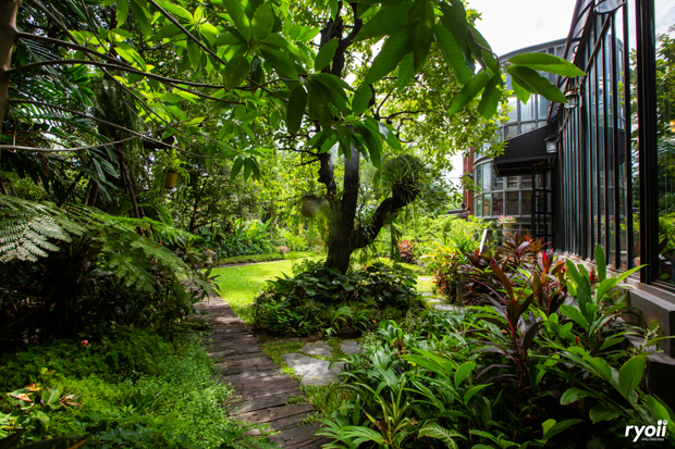 บ้านสวย ในสวน, Siam Brasserie , The Treehouse Nongchok, Natura Cafe, BaanNaiSuan Cafe&amp;Yoga, Patom, Portobello &amp; Désiré, ครัวบ้านสวนสุวรรณ, ร้านอาหารฐิตารีย์ สวนรถไฟ จตุจักร, บ้านสวน อบอวลรัก