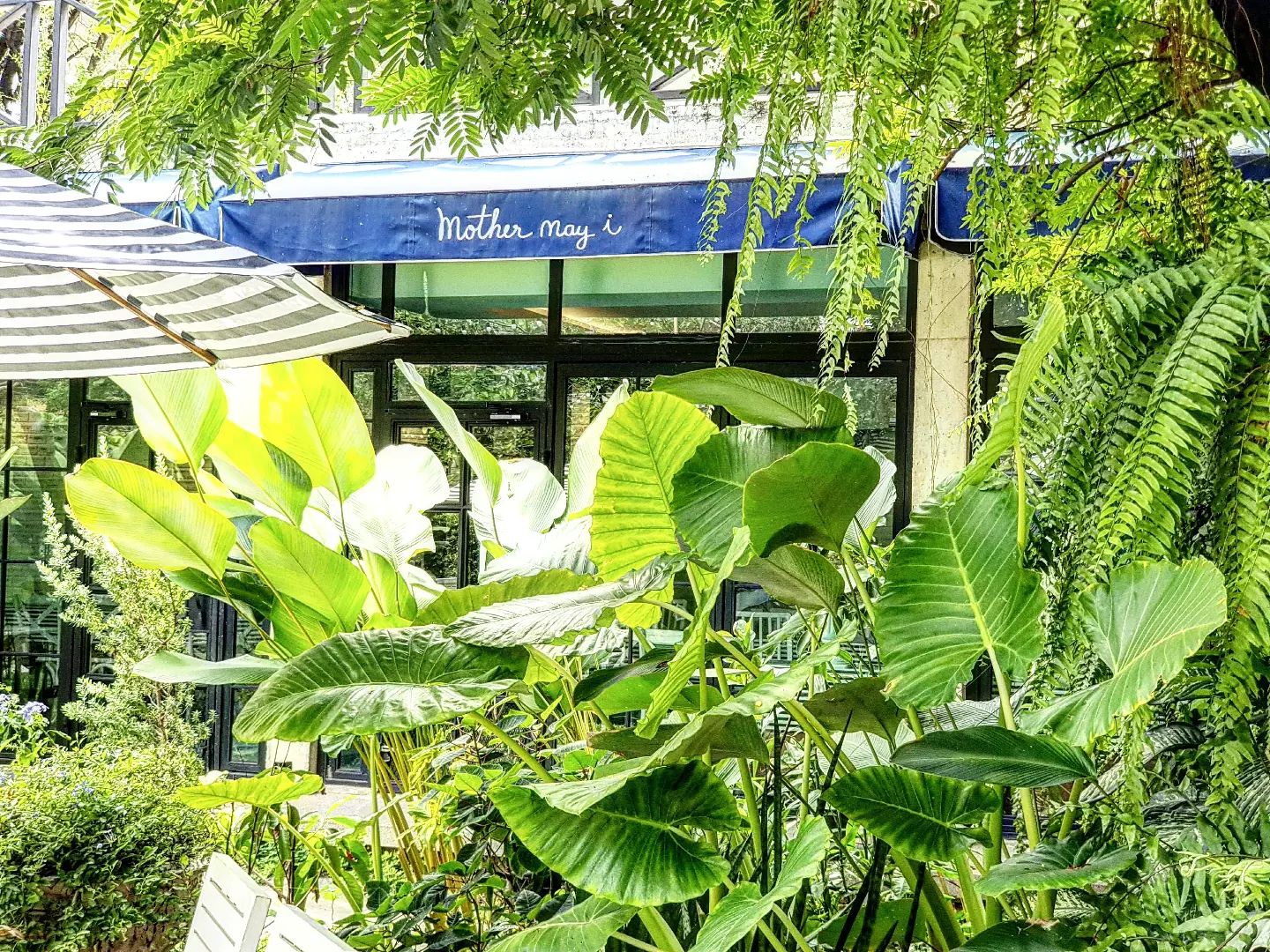 ครัวจำแลง แปลงกาย, ศรีตราด, Jirakaan Restaurant, เสวยซีฟู้ด, เรือนมัลลิการ์, ต้นเครื่อง, บ้านไอซ์, Gedhawa เก็ดถะหวา, Cr. ภาพทั้งหมดจาก Facebook Gedhawa Sukhumvit33, Madam Saranair มาดามสาระแหน่, ตะลิงปลิง สุขุมวิท 34, แสนสำราญที่แสนแสบ