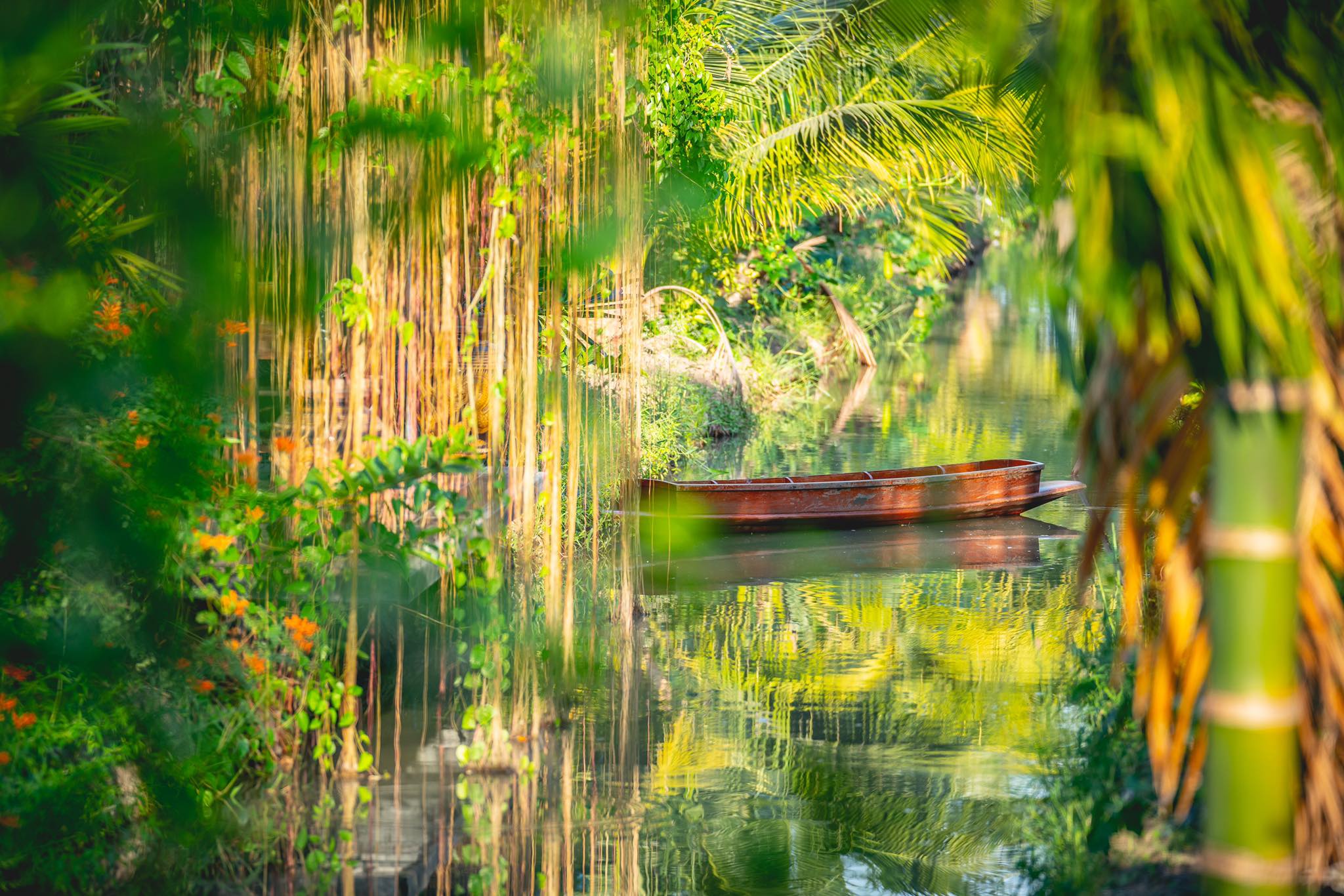 Autumn haus, YOJU Cafe, Lemon Me Farm, STARTCafé, Lot no.8 cafe, 23 cafe and bistro, STAY WITH TREE cafe, April Flavors cafe, Destiny cafe', บ้านปายนา, DUBUA CAFE, House of Chandra - เสน่ห์จันทน์ , 11 Elephant Dessert Cafe, Hangar Cafe', Merce Cafe & Restaurant, Ton Khao Terrace, O2 Kaffee & Bistro, Pomelo Cafe, Little tree, Chinu Coffee