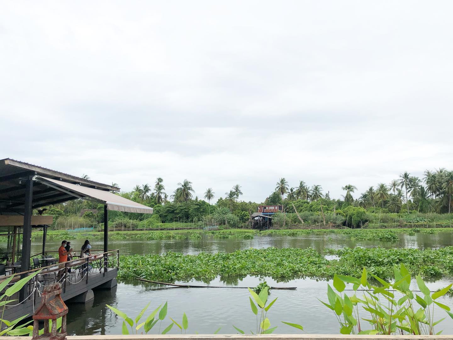 The Sine Cafe’, Whispering cafe, รักษ์น้ำคาเฟ่, Orenchi Cafe, KAWA Coffee and Co., Orenchi Specialty Coffee, Attitude Coffee, Memory House Cafe, In Garden Hut Cafe, ChataThammachart, She's The Legend Cafe, RIVA floating cafe, Good Mood House, นึก คาเฟ่ - วัดไร่ขิง, Ton Khao Terrace, CHADA Tea Boutique, Kark Crof.f