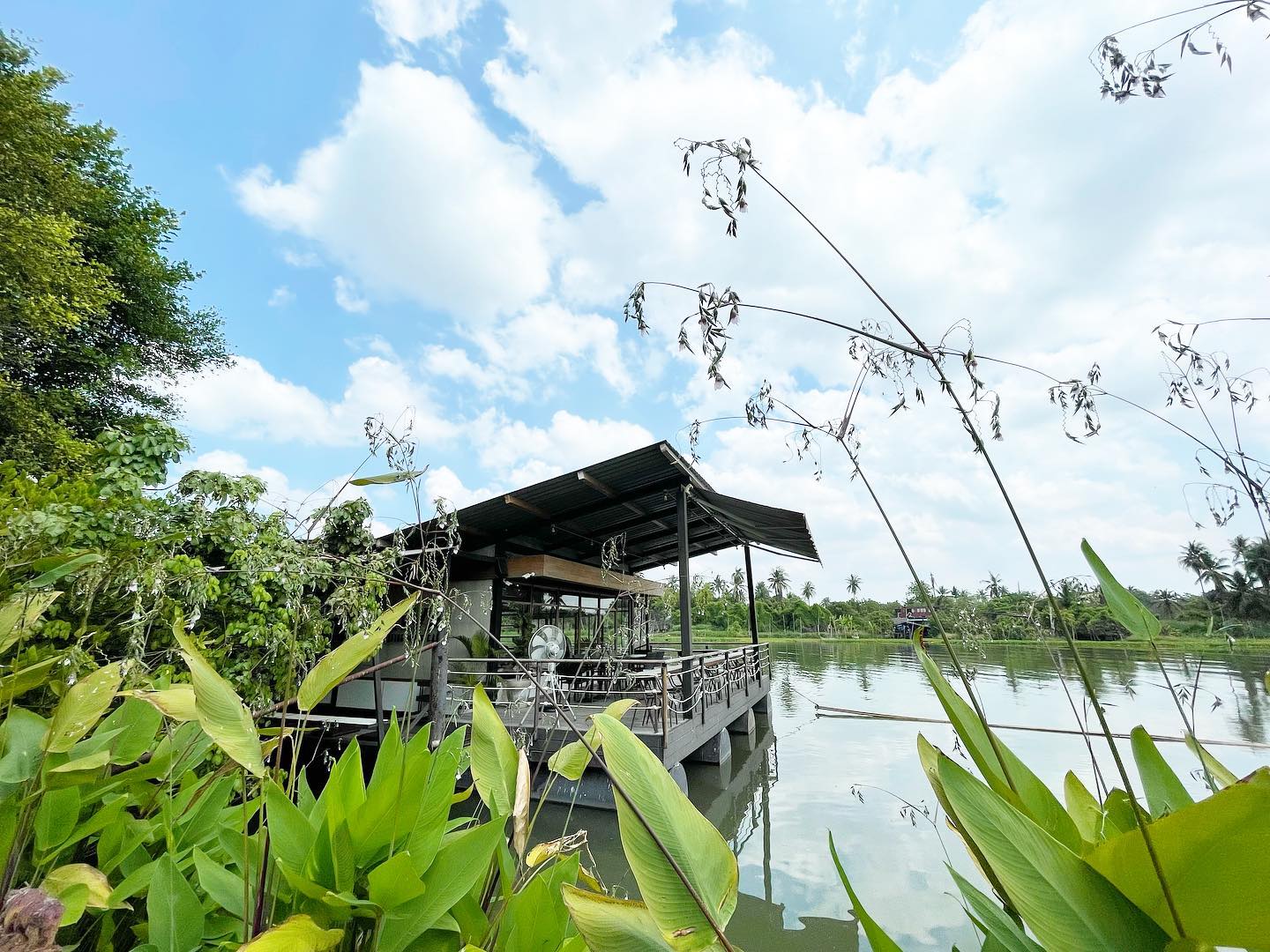 The Sine Cafe’, Whispering cafe, รักษ์น้ำคาเฟ่, Orenchi Cafe, KAWA Coffee and Co., Orenchi Specialty Coffee, Attitude Coffee, Memory House Cafe, In Garden Hut Cafe, ChataThammachart, She's The Legend Cafe, RIVA floating cafe, Good Mood House, นึก คาเฟ่ - วัดไร่ขิง, Ton Khao Terrace, CHADA Tea Boutique, Kark Crof.f