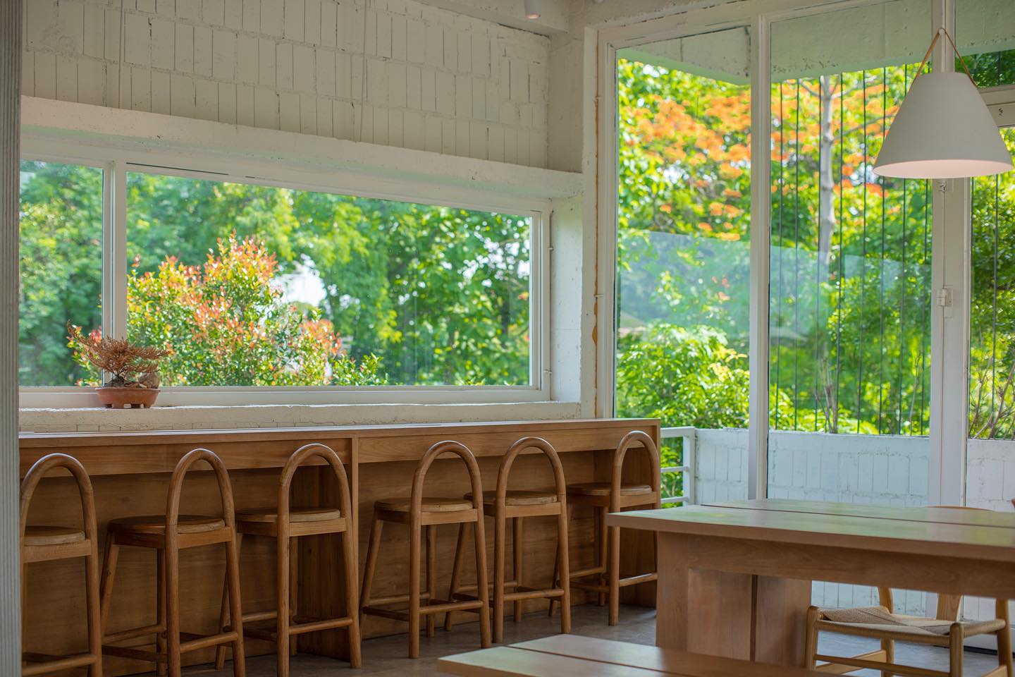 Matchappen, DWBH CAFE, Minna Matcha, Magokoro Teahouse, Nekoemon Cafe Chiang Mai