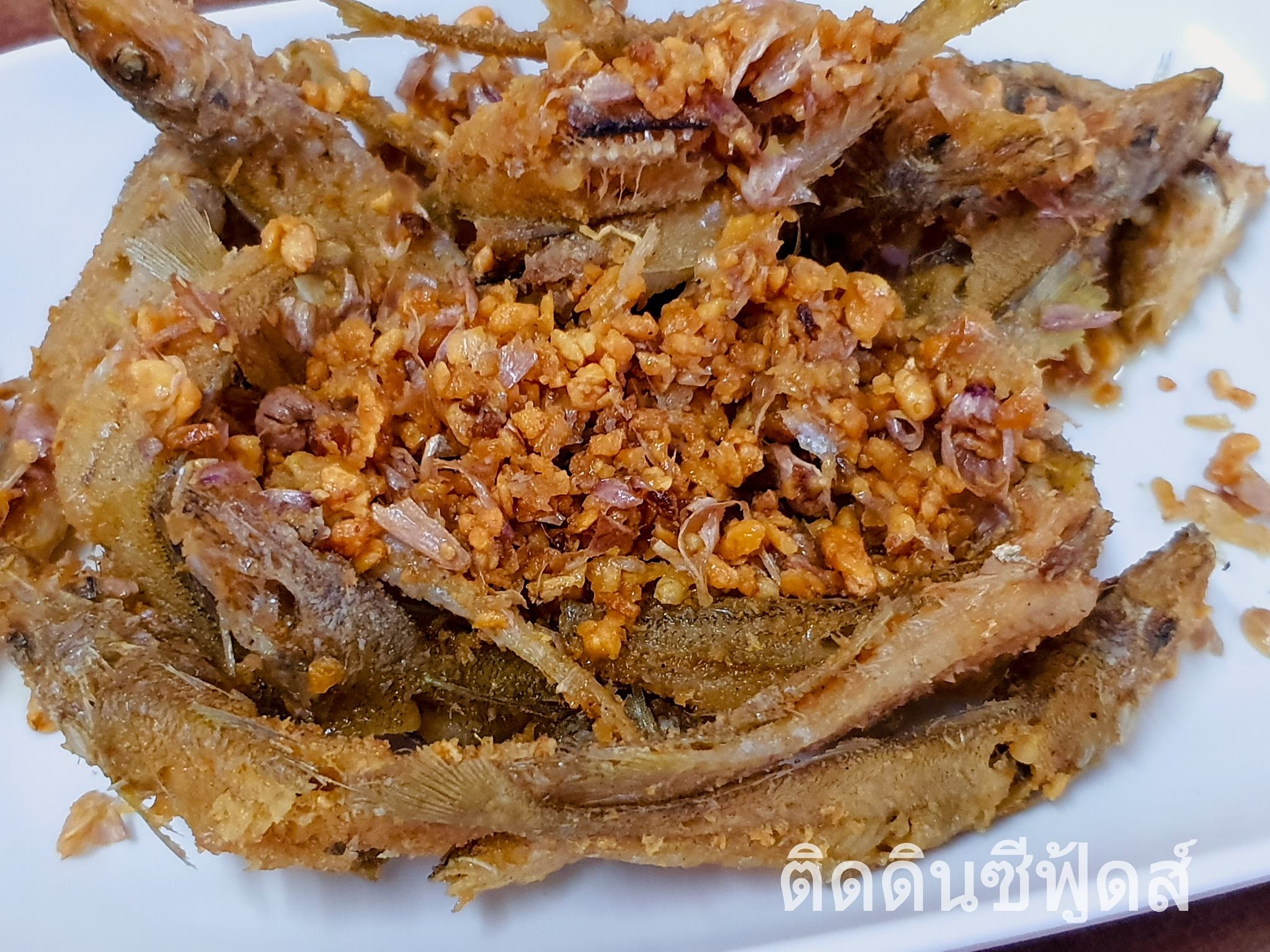 Pop View, ครัวบ้านกลางทะเล, Ripple Sea, ร้านลับหมึกช๊อต อ่าวอุดมซอย17, ร้านป๋าดำซีฟู้ด, ป้าแอ๊ดซีฟู๊ด, ติดดินซีฟู้ด, มุมอร่อย ศรีราชา, TOH CREW, เรือนน้ำซีฟู๊ด ศรีราชา, ครัวทะเล จันผา, ร้านอาหาร เฒ่าทะเล ซีฟู๊ด อ่าวอุดม, ร้านป้อมกินแล้วรวย