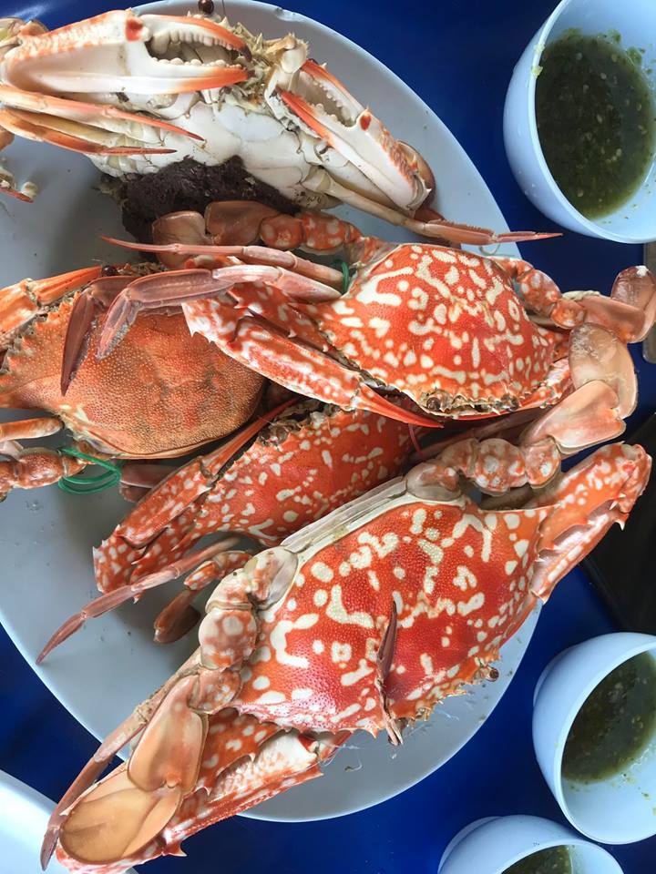 Pop View, ครัวบ้านกลางทะเล, Ripple Sea, ร้านลับหมึกช๊อต อ่าวอุดมซอย17, ร้านป๋าดำซีฟู้ด, ป้าแอ๊ดซีฟู๊ด, ติดดินซีฟู้ด, มุมอร่อย ศรีราชา, TOH CREW, เรือนน้ำซีฟู๊ด ศรีราชา, ครัวทะเล จันผา, ร้านอาหาร เฒ่าทะเล ซีฟู๊ด อ่าวอุดม, ร้านป้อมกินแล้วรวย