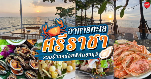 Pop View, ครัวบ้านกลางทะเล, Ripple Sea, ร้านลับหมึกช๊อต อ่าวอุดมซอย17, ร้านป๋าดำซีฟู้ด, ป้าแอ๊ดซีฟู๊ด, ติดดินซีฟู้ด, มุมอร่อย ศรีราชา, TOH CREW, เรือนน้ำซีฟู๊ด ศรีราชา, ครัวทะเล จันผา, ร้านอาหาร เฒ่าทะเล ซีฟู๊ด อ่าวอุดม, ร้านป้อมกินแล้วรวย