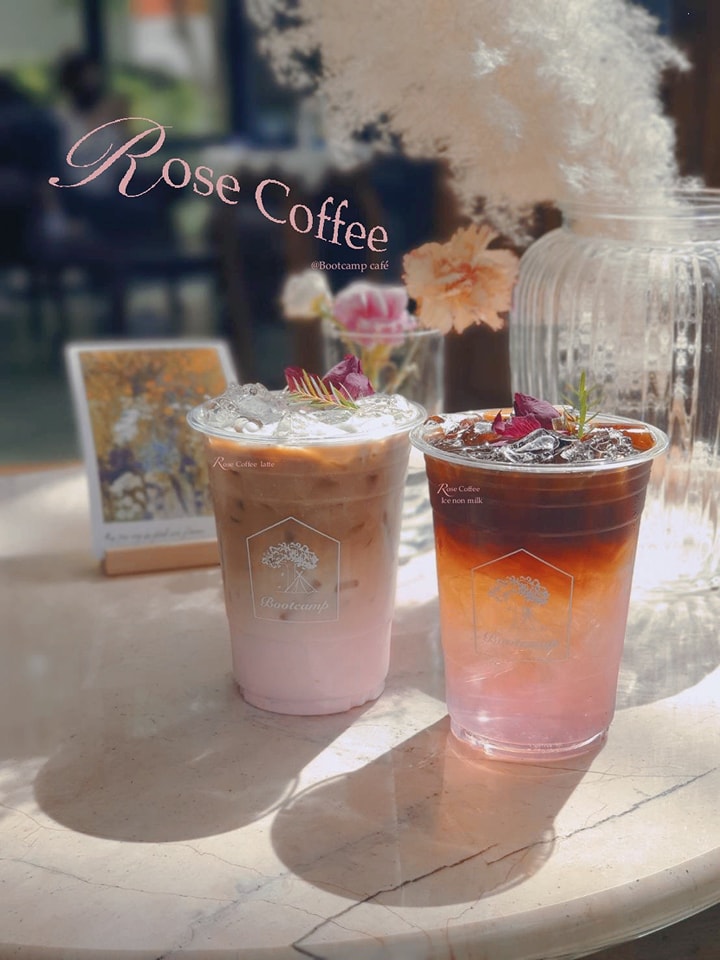 Cafeccini, Bootcamp Cafe, SUNKISS.bangkok, Nine Cafe, บ้านและเกสร, Dog Country Cafe, Kaffeehaus, คาเฟ่ บ้านหมี, หวานกรอบ Farm &amp; Cafe, Mamaison cafe, แสงตะวันฟาร์ม เมล่อนสาย4