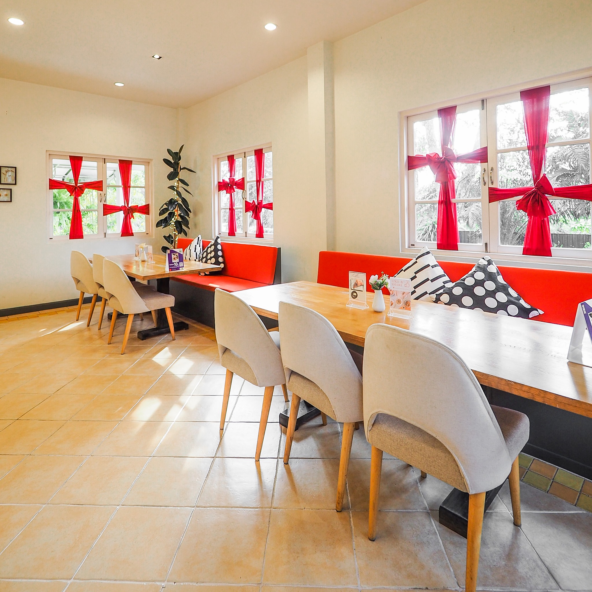 Cafeccini, Bootcamp Cafe, SUNKISS.bangkok, Nine Cafe, บ้านและเกสร, Dog Country Cafe, Kaffeehaus, คาเฟ่ บ้านหมี, หวานกรอบ Farm &amp; Cafe, Mamaison cafe, แสงตะวันฟาร์ม เมล่อนสาย4