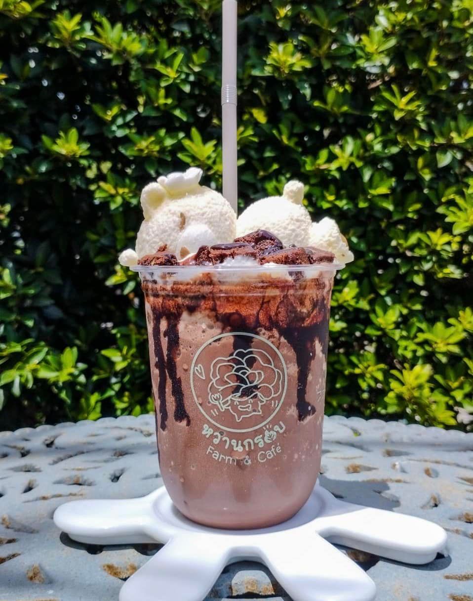 Cafeccini, Bootcamp Cafe, SUNKISS.bangkok, Nine Cafe, บ้านและเกสร, Dog Country Cafe, Kaffeehaus, คาเฟ่ บ้านหมี, หวานกรอบ Farm &amp; Cafe, Mamaison cafe, แสงตะวันฟาร์ม เมล่อนสาย4