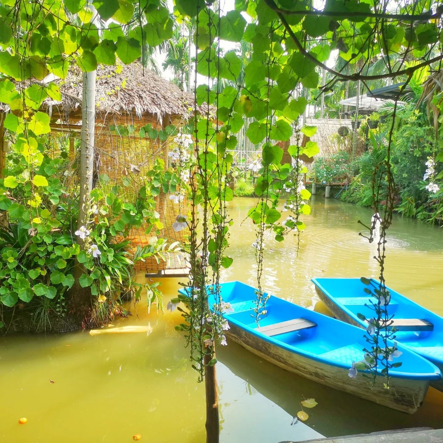 The Sine Cafe’, Whispering cafe, รักษ์น้ำคาเฟ่, Orenchi Cafe, KAWA Coffee and Co., Orenchi Specialty Coffee, Attitude Coffee, Memory House Cafe, In Garden Hut Cafe, ChataThammachart, She's The Legend Cafe, RIVA floating cafe, Good Mood House, นึก คาเฟ่ - วัดไร่ขิง, Ton Khao Terrace, CHADA Tea Boutique, Kark Crof.f