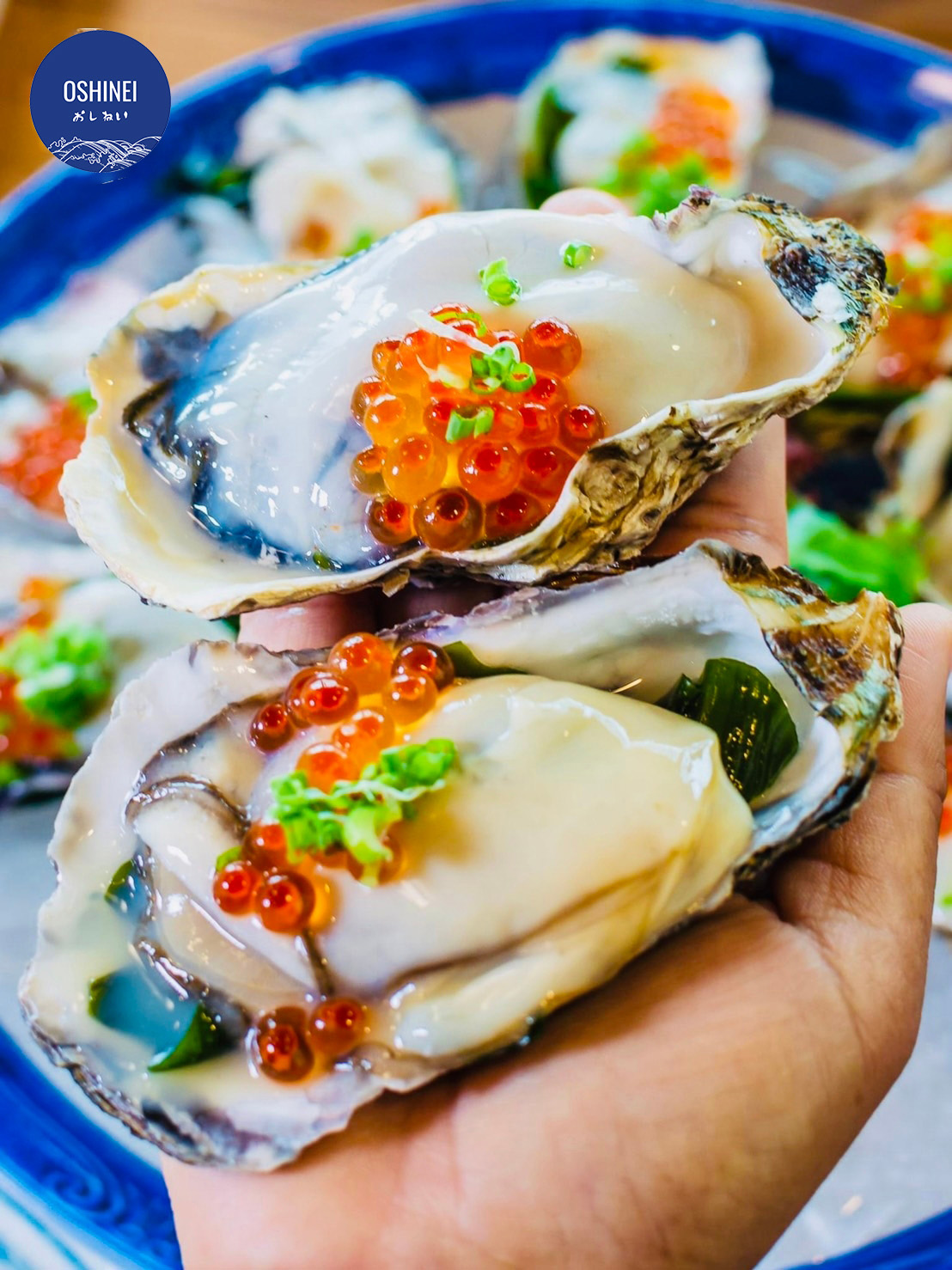 Papper Inter Buffet Korat, Fin Sushi, So-Shabuki restaurant, House of Kin Korat