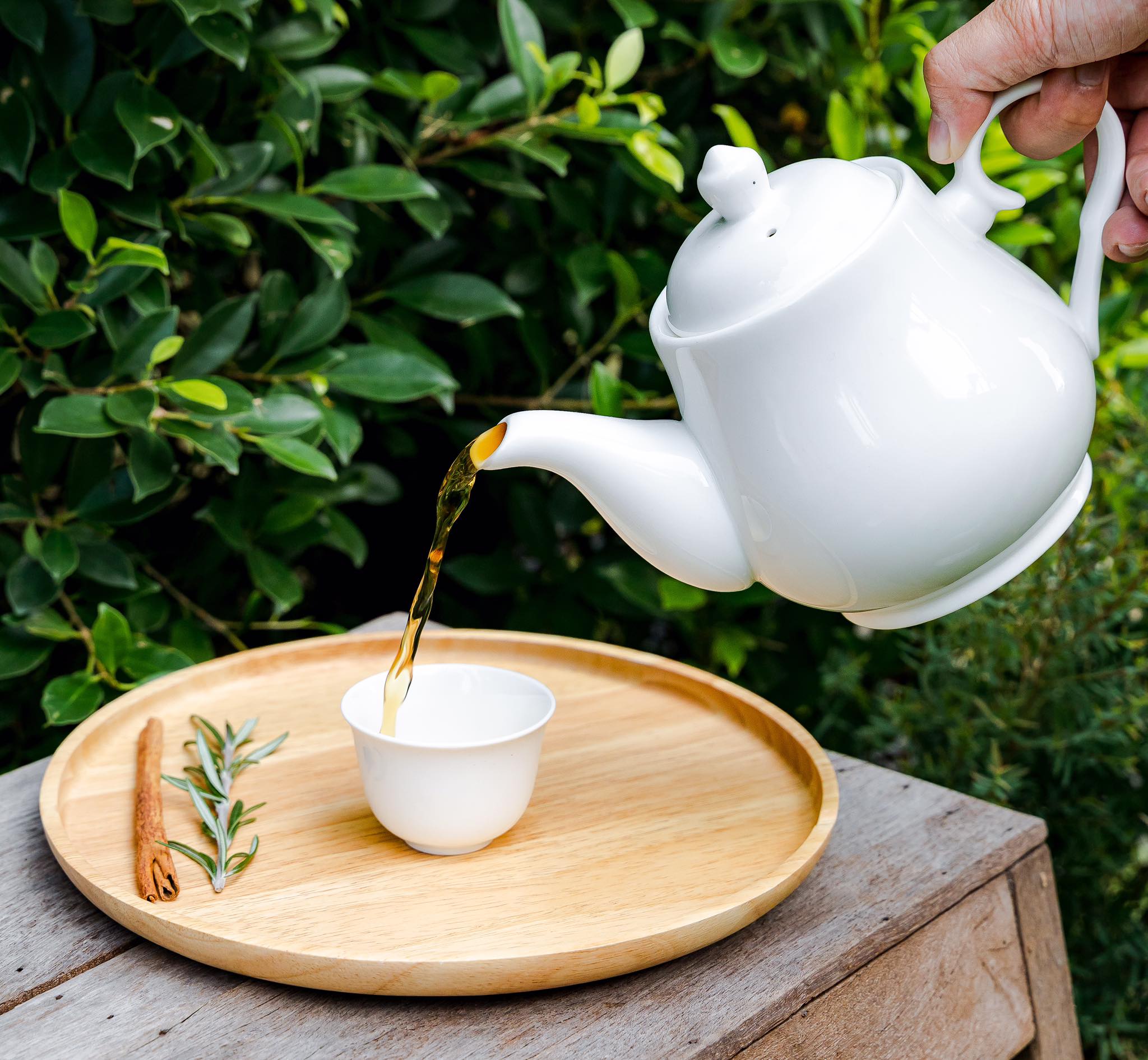 The Sine Cafe’, Whispering cafe, รักษ์น้ำคาเฟ่, Orenchi Cafe, KAWA Coffee and Co., Orenchi Specialty Coffee, Attitude Coffee, Memory House Cafe, In Garden Hut Cafe, ChataThammachart, She's The Legend Cafe, RIVA floating cafe, Good Mood House, นึก คาเฟ่ - วัดไร่ขิง, Ton Khao Terrace, CHADA Tea Boutique, Kark Crof.f