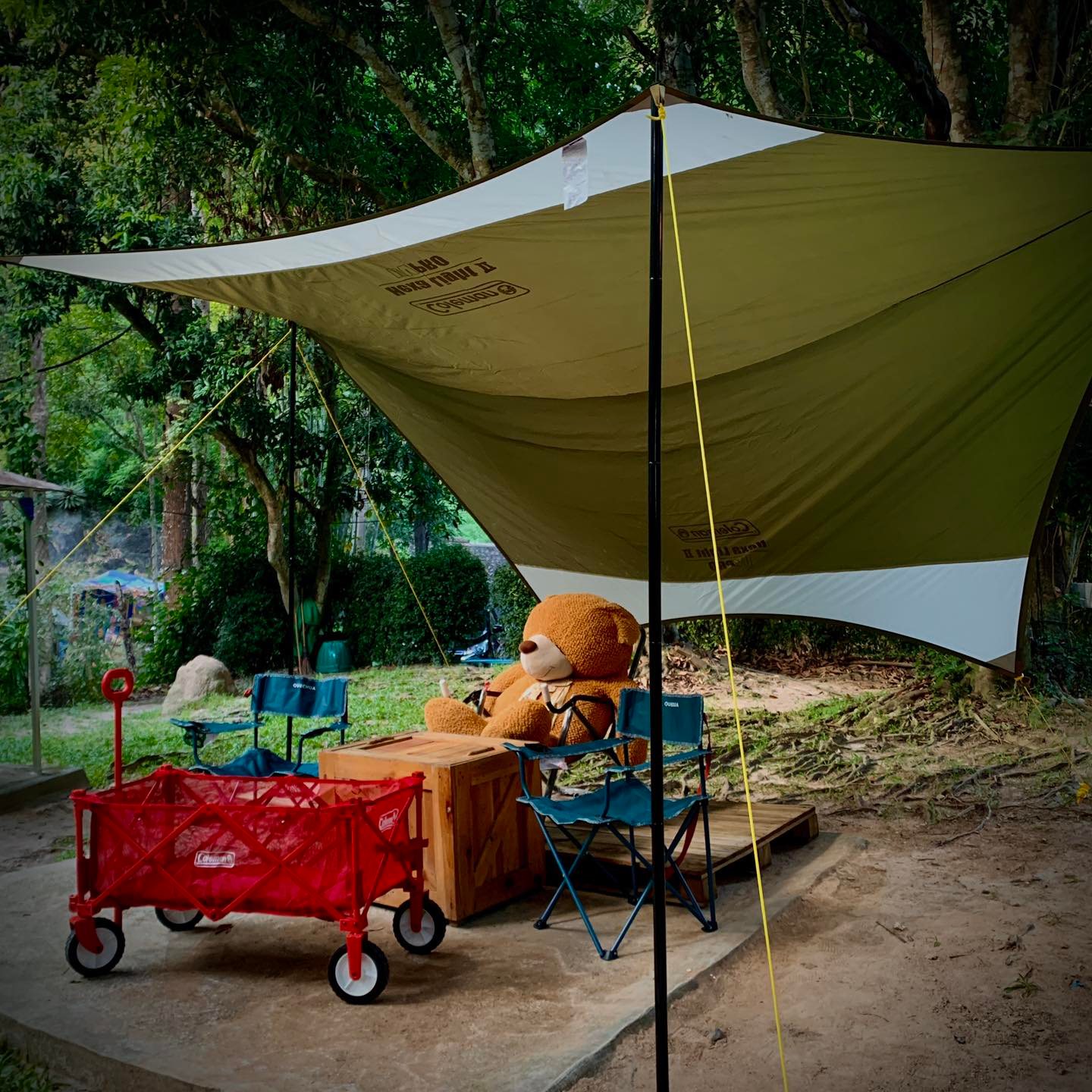 Treespresso cafe, Vigie Sist Café, Aki Choux Cream, Polaris Sunrise Café, MOJI Pool.Villa.icecream, MYTH OVEN, KonJohn coffee slowbar, Eleven Pillar Site, Home’S, Koffandthings.th, Playworks.cafeart, Tree of Life Cafe, Kramfeine, Millilit Cafe, TOMATO.cafe.cnx, MITTE MITTE, Soul Café mju, ZOHNG Coffee, ALSO cafe, Coffee Ngeggee, Graincafe.cnx, Later on cafe, สุขพอดี, FERN FOREST CAFÉ, Forest Bake, ภูฟิน, CHEEVIT CHEEVA, GoodVibes Cafe-Cnx, Chic 39, Zombie Café, Ristr8to, Neo Cafe', ชมนกชมไม้, เก้าคาเฟ่ นิมมาน