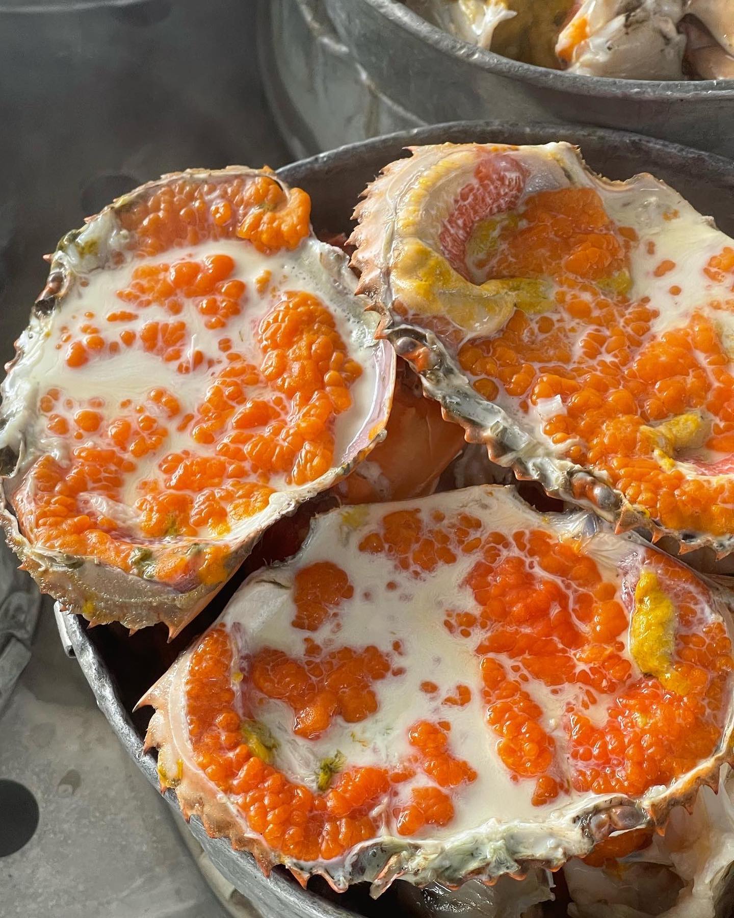 อองตอง ข้าวซอย, ครัวลุงแฉ่ว, Thien Duong, เจ๊โอว, บ้านต้นไทร, ข้าวต้มปลา (กิมโป้), Mezzaluna Restaurant, ครัวอัปษร, ศรีตราด, แม่กลองหัวปลาหม้อไฟ ปูไข่นึ่งนม, Tonkin - Annam, Baan Phadthai, ฉ่อยเป็ดย่าง, ผัดไทยไฟทะลุ, แสนยอด, ครัวลุงลอยป่าลั่น, ลิ้มเหล่าโหงว, สาขาเยาวราช, ภัตตาคารจ๊ากกี่, Lay lao, Punjab Grill Bangkok, ส้มตำคุณกัญจณ์