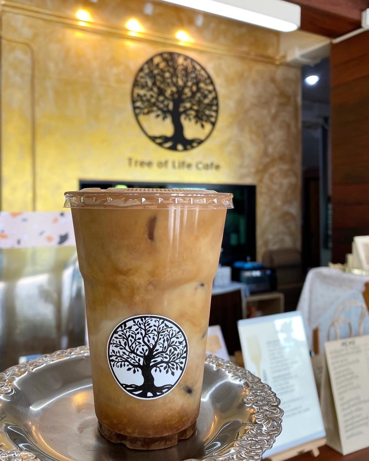 Treespresso cafe, Vigie Sist Café, Aki Choux Cream, Polaris Sunrise Café, MOJI Pool.Villa.icecream, MYTH OVEN, KonJohn coffee slowbar, Eleven Pillar Site, Home’S, Koffandthings.th, Playworks.cafeart, Tree of Life Cafe, Kramfeine, Millilit Cafe, TOMATO.cafe.cnx, MITTE MITTE, Soul Café mju, ZOHNG Coffee, ALSO cafe, Coffee Ngeggee, Graincafe.cnx, Later on cafe, สุขพอดี, FERN FOREST CAFÉ, Forest Bake, ภูฟิน, CHEEVIT CHEEVA, GoodVibes Cafe-Cnx, Chic 39, Zombie Café, Ristr8to, Neo Cafe', ชมนกชมไม้, เก้าคาเฟ่ นิมมาน