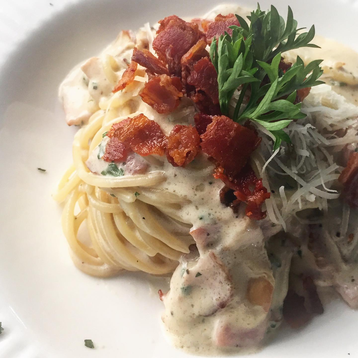 Pizzeria Limoncello, เชฟถนอม, กลมกล่อม BY CHEF AKE, Ciao Pizza, Pizza Aroy, Pizza Massilia, Grazie Pizzeria, The Garden Dough, Lanta Pizzeria, Mama Dolores, PizzaPazza, Dressage Horse Café, Pizzazo, Shelter Pizza พิซซ่าเตาถ่าน