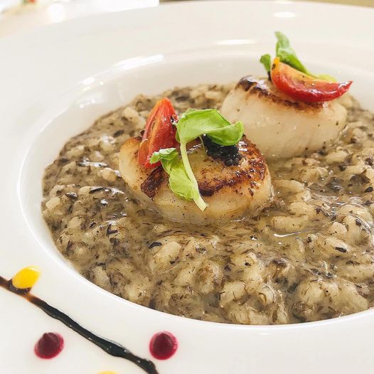 Pizzeria Limoncello, เชฟถนอม, กลมกล่อม BY CHEF AKE, Ciao Pizza, Pizza Aroy, Pizza Massilia, Grazie Pizzeria, The Garden Dough, Lanta Pizzeria, Mama Dolores, PizzaPazza, Dressage Horse Café, Pizzazo, Shelter Pizza พิซซ่าเตาถ่าน