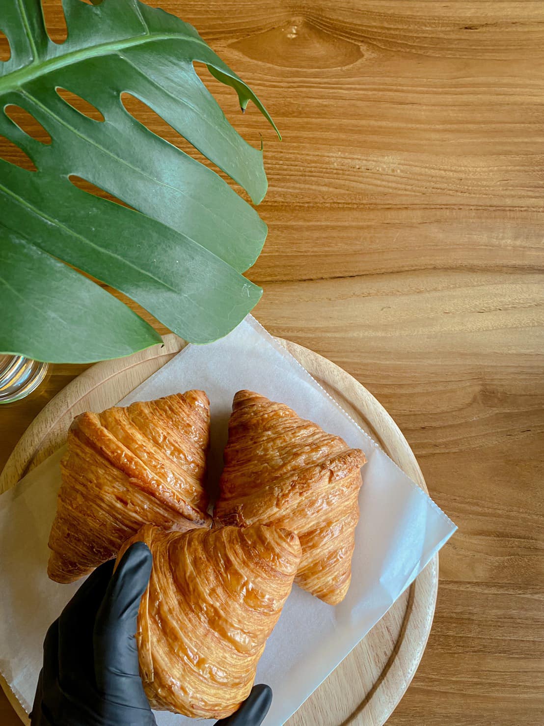 NAYA Cafe, Krasai.cafe, Sanoh at Ayutthaya, ชีวาคาเฟ่, FENG, Tewa Cafe Ayutthaya, Homeboy, PRANG VIEW, Peko Peko Cafe - ペ コ ペ コ, A Lovely Table, Busaba Cafe &amp; Meal, WIWA House Cafe', The Summer House, Phoyard, Cafe' de Zia, Café Kantary Ayutthaya, บ้านข้าวหนม, Basic Space Coffee, Cafe'Trifecta, ในคลองคาเฟ่, ไม้ขาวคาเฟ่ ayutthaya, ชงนวล'Cafe