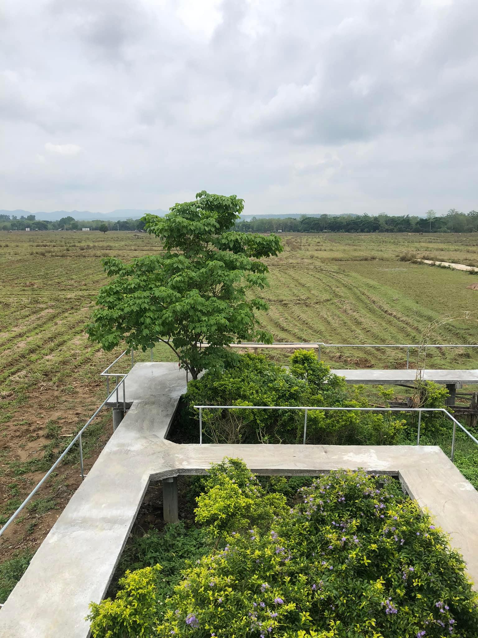 Mixirista Lampang, TIN’N, Wooden House Cafe', Karpenter cafe&amp;bake, Secret Garden Cafe, บ้านนอกคาเฟ่, Kin Cafe' Lampang, ณ หิรัญ คาเฟ่, Himwang Café, ไอหย๋า ปังนม, Dezato Cafe, อาร์มแชร์ คาเฟ่, โก๋กาแฟ ธรรมดาเป็นพิเศษ, Nalalin Home Cafe-Lampang, NOP Cafe&amp;Bistro, ก๋างต้ง, Moungngwezin