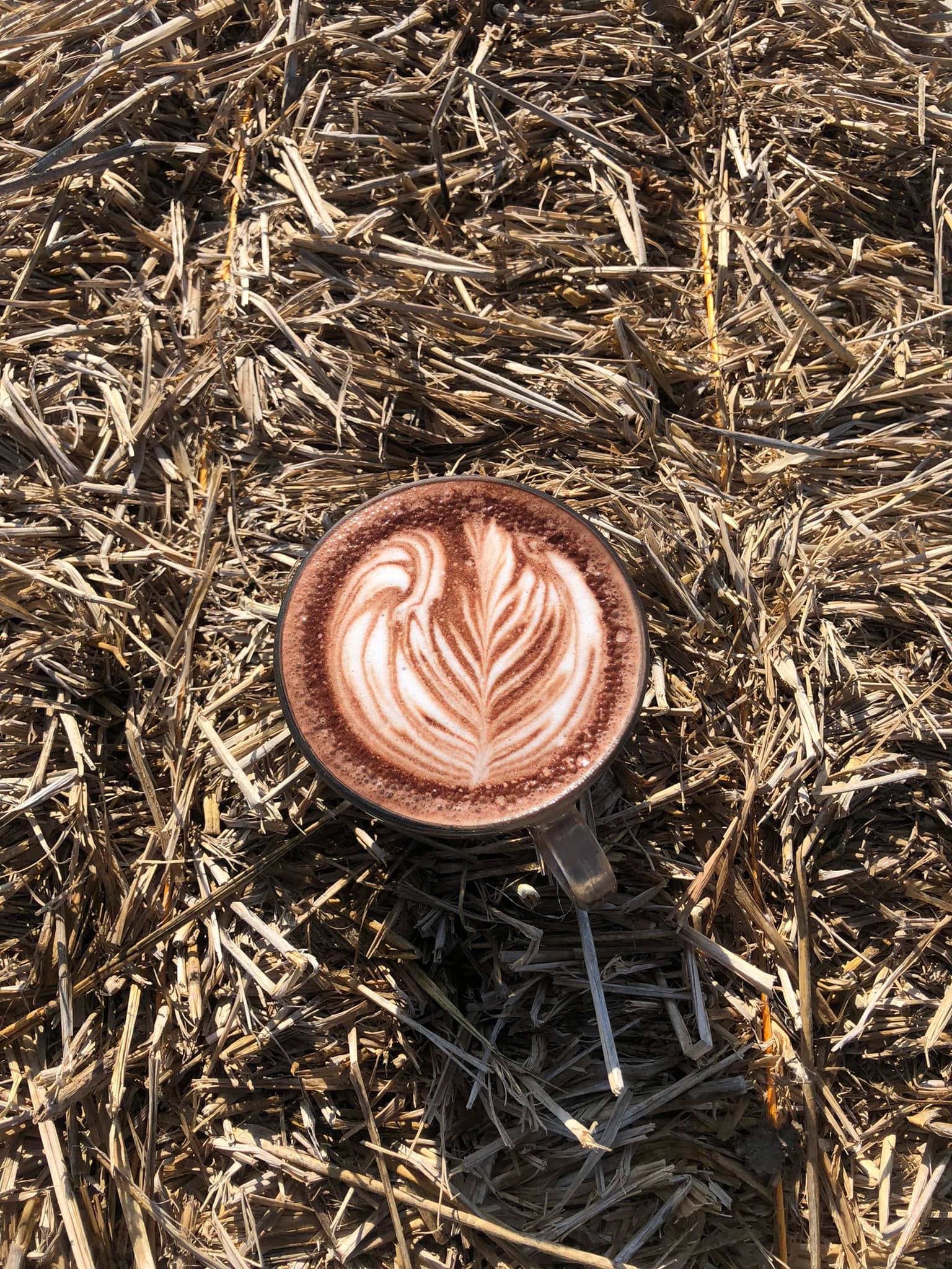 Mixirista Lampang, TIN’N, Wooden House Cafe', Karpenter cafe&amp;bake, Secret Garden Cafe, บ้านนอกคาเฟ่, Kin Cafe' Lampang, ณ หิรัญ คาเฟ่, Himwang Café, ไอหย๋า ปังนม, Dezato Cafe, อาร์มแชร์ คาเฟ่, โก๋กาแฟ ธรรมดาเป็นพิเศษ, Nalalin Home Cafe-Lampang, NOP Cafe&amp;Bistro, ก๋างต้ง, Moungngwezin