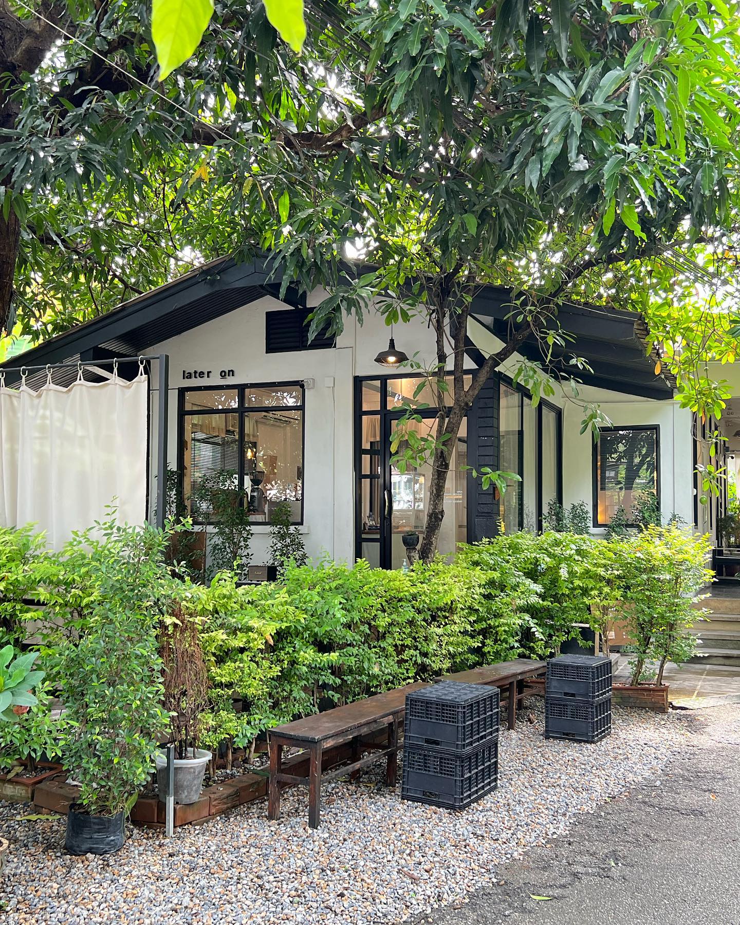 Treespresso cafe, Vigie Sist Café, Aki Choux Cream, Polaris Sunrise Café, MOJI Pool.Villa.icecream, MYTH OVEN, KonJohn coffee slowbar, Eleven Pillar Site, Home’S, Koffandthings.th, Playworks.cafeart, Tree of Life Cafe, Kramfeine, Millilit Cafe, TOMATO.cafe.cnx, MITTE MITTE, Soul Café mju, ZOHNG Coffee, ALSO cafe, Coffee Ngeggee, Graincafe.cnx, Later on cafe, สุขพอดี, FERN FOREST CAFÉ, Forest Bake, ภูฟิน, CHEEVIT CHEEVA, GoodVibes Cafe-Cnx, Chic 39, Zombie Café, Ristr8to, Neo Cafe', ชมนกชมไม้, เก้าคาเฟ่ นิมมาน