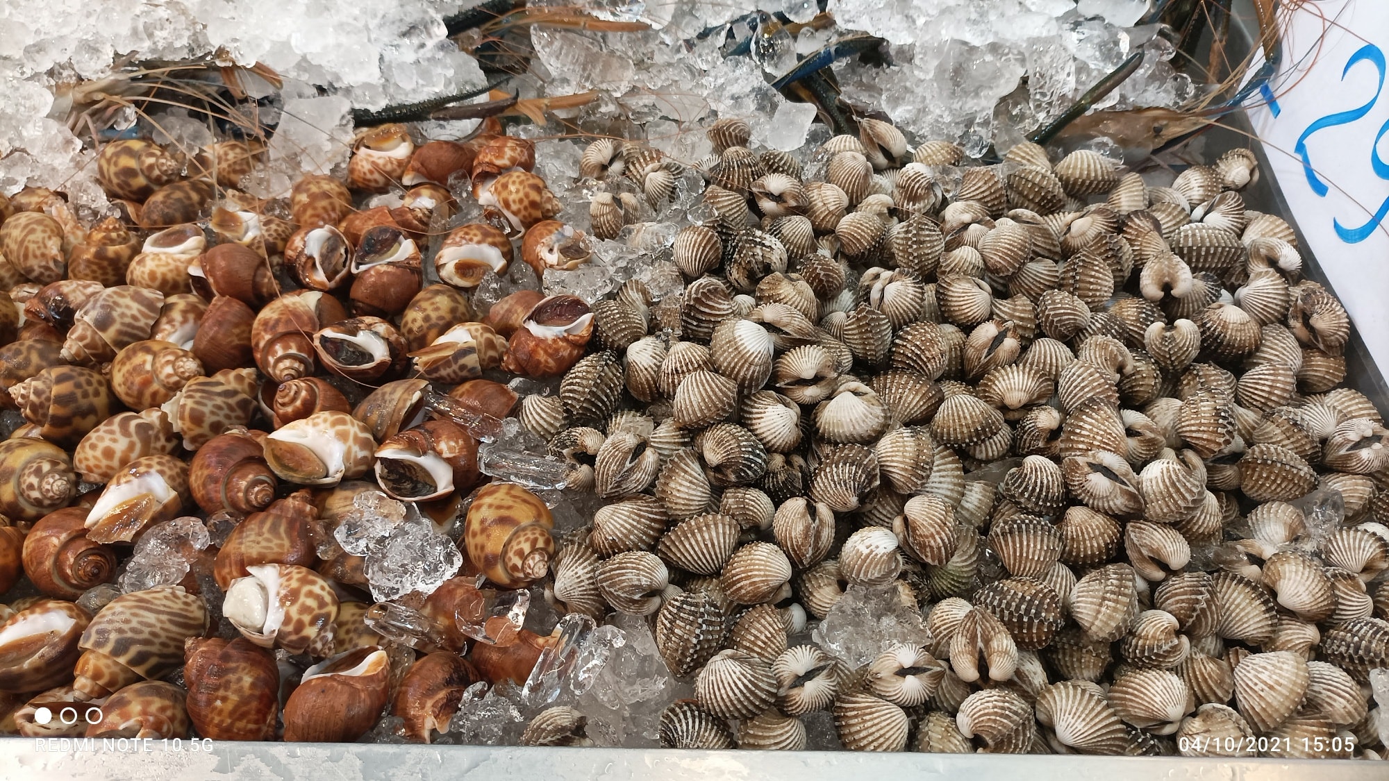 คุณภัฐหมูกะทะ, รักเขาหลงเขา หมูกระทะ, จ่า หมูกระทะ สาขา ซอยอุดมเดช, สานฝัน หมูกระทะ, อร่อยเต็ม 10 หมูกระทะ ชาบู, บังโก๊ะหมูกระทะชั่งโล, แก้มตุ่ย8 หมูกระทะ, หจก.หมูกระทะ, AK หมูกระทะชั่งกิโล สุขสวัสดิ์26