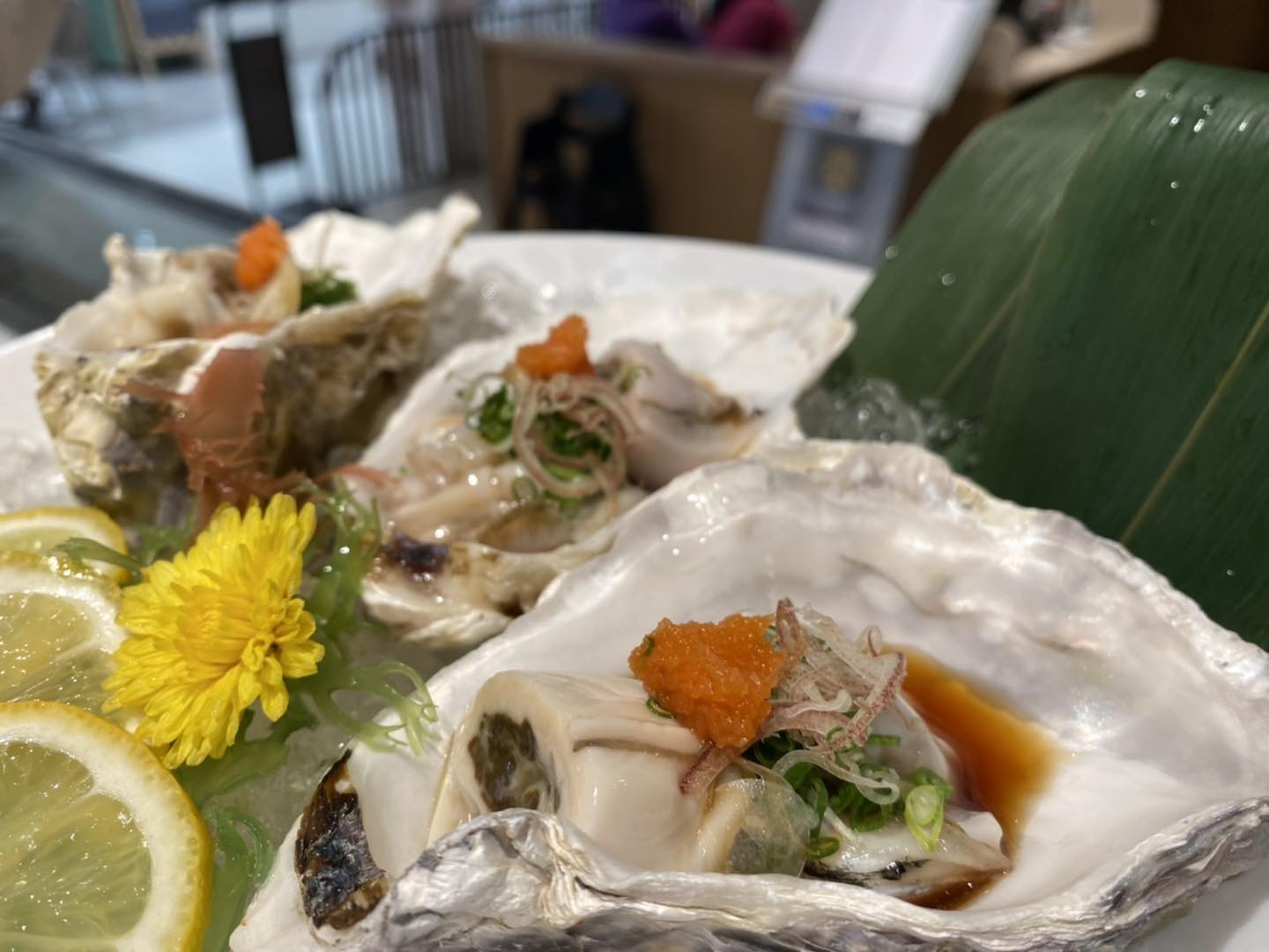 Super Bowl BKK, Kaneko Hannosuke Thailand, Sushi Hiro, Sushi hana, Joushisu Sushi, Honmomo Sushi