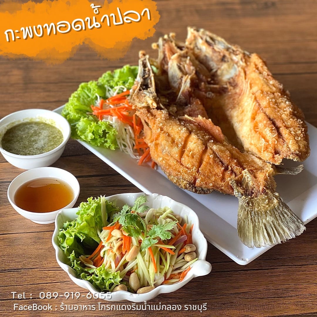 กอบัว, บ้านอาหารไทย, บ้านบัว, บ้านรั้วไม้ Cuisine &amp; Cafe, ครัวหอมมันปู, ร้านไหน อุทยานหินเขางู ราชบุรี, สวนอาหาร รางตาล, Pakmud แซ่บหมูทะ, สาขาโพธาราม, ถึงพริกถึงขิง, มะม่วงคู่, เนื้อต้มบ้านสิงห์ เจ๊ติ๋ม, โกรกแดง, ชุมทางของอร่อย, Mainichi365, Octospider restaurant, Lim cafe Photaram, ครัวตะนาวศรี สวนผึ้ง ราชบุรี, อาตี๋โกปี๊, โอปอชิฟฟ่อนเค้ก, ก๋วยเตี๋ยวปลาแม่กลอง, ติ๋มเค้กมะพร้าวอ่อน, ก๋วยเตี๋ยวโบราณป้าฮวย, โอ่งข้าวโอ่งน้ำ, ครัวม่อนไข่ สวนผึ้ง ราชบุรี, ShabuDo
