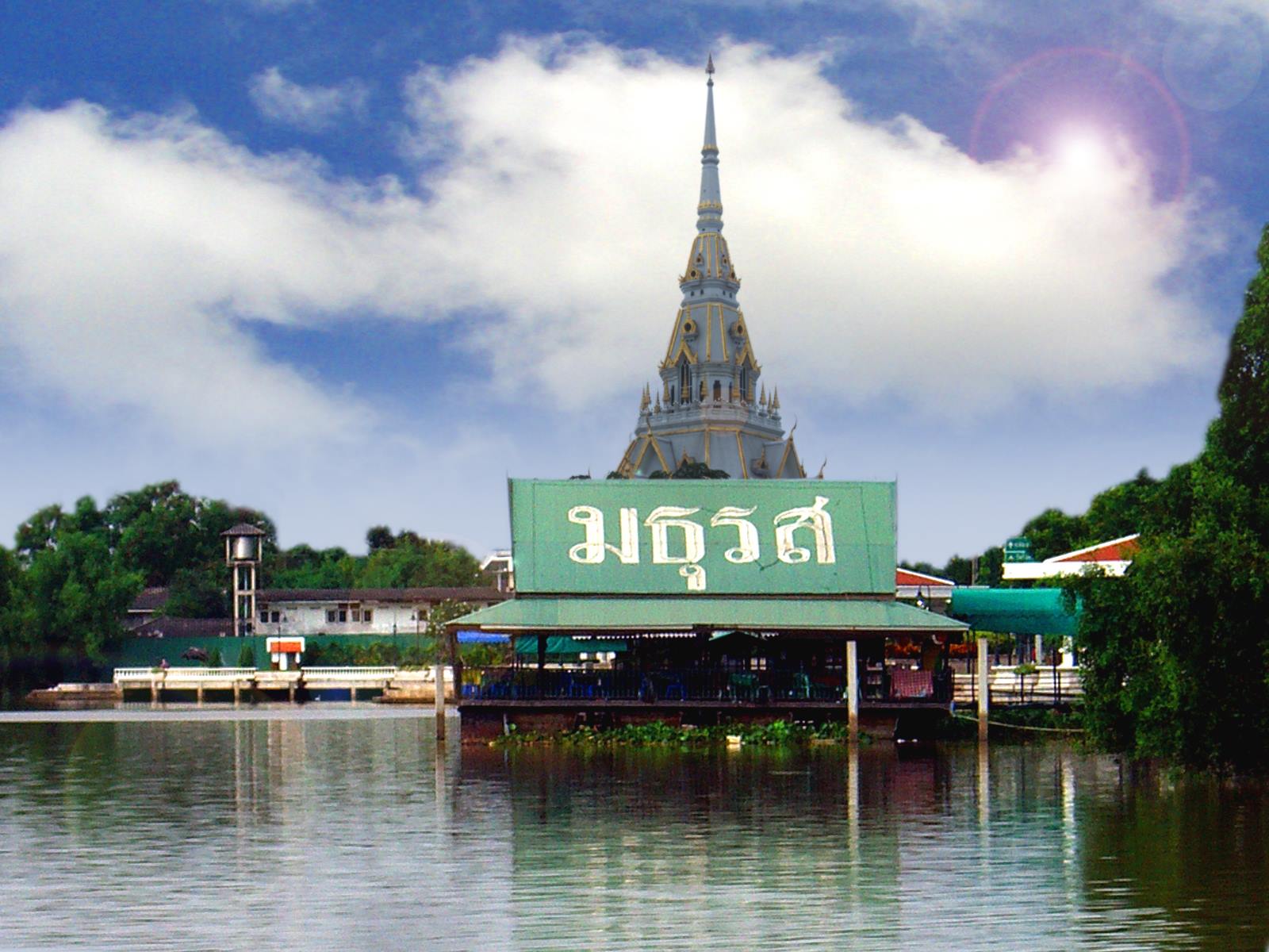 บ้านโพธิ์ริเวอร์ไซด์, ร้านอาหารมธุรสเรือนแพ, Baan Melon Desert, ร้านบ้านเบญฯ, บ้านปูกรรเชียง, ร้านกุ้งนาง, ร้านชวนมา ริมแม่น้ำบางปะกง, ครัวแม่ส้มเกลี้ยง, ครัวปลาเถื่อน, แพเคียงน้ำ, ลุงตีฟและยาย, รวยเรือนแพ, เอกเขนก, ชัยครับ, แพพยงค์ ริมน้ำ, 111/11 บ้านริมคลอง, มีน้ำ มีปลา cafe&amp;restaurant