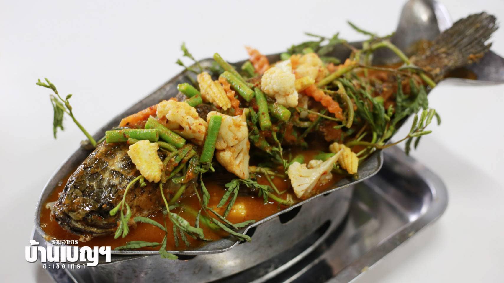 บ้านโพธิ์ริเวอร์ไซด์, ร้านอาหารมธุรสเรือนแพ, Baan Melon Desert, ร้านบ้านเบญฯ, บ้านปูกรรเชียง, ร้านกุ้งนาง, ร้านชวนมา ริมแม่น้ำบางปะกง, ครัวแม่ส้มเกลี้ยง, ครัวปลาเถื่อน, แพเคียงน้ำ, ลุงตีฟและยาย, รวยเรือนแพ, เอกเขนก, ชัยครับ, แพพยงค์ ริมน้ำ, 111/11 บ้านริมคลอง, มีน้ำ มีปลา cafe&amp;restaurant