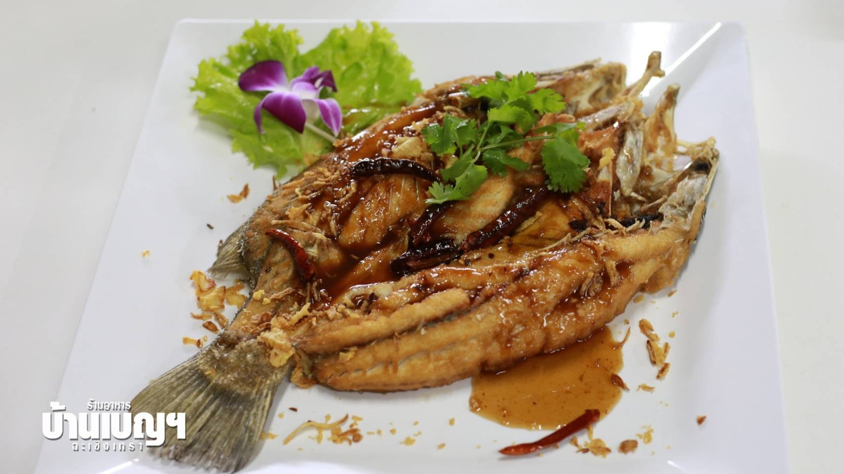 บ้านโพธิ์ริเวอร์ไซด์, ร้านอาหารมธุรสเรือนแพ, Baan Melon Desert, ร้านบ้านเบญฯ, บ้านปูกรรเชียง, ร้านกุ้งนาง, ร้านชวนมา ริมแม่น้ำบางปะกง, ครัวแม่ส้มเกลี้ยง, ครัวปลาเถื่อน, แพเคียงน้ำ, ลุงตีฟและยาย, รวยเรือนแพ, เอกเขนก, ชัยครับ, แพพยงค์ ริมน้ำ, 111/11 บ้านริมคลอง, มีน้ำ มีปลา cafe&amp;restaurant