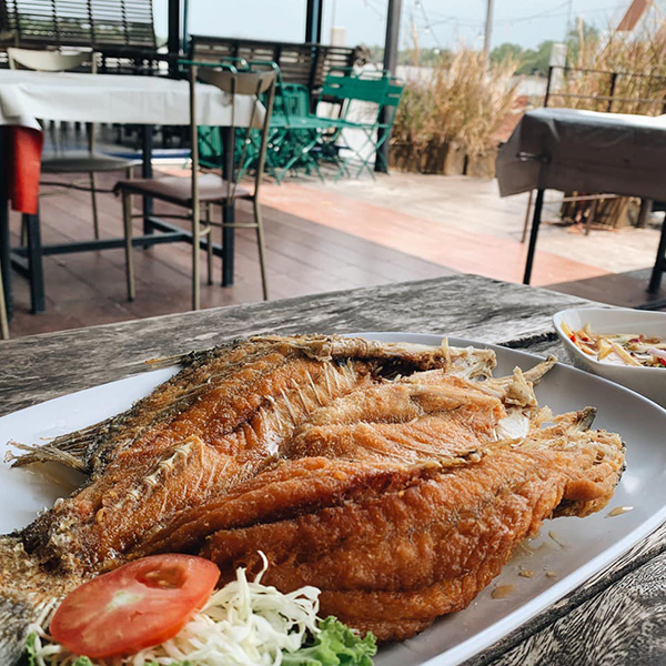 บ้านโพธิ์ริเวอร์ไซด์, ร้านอาหารมธุรสเรือนแพ, Baan Melon Desert, ร้านบ้านเบญฯ, บ้านปูกรรเชียง, ร้านกุ้งนาง, ร้านชวนมา ริมแม่น้ำบางปะกง, ครัวแม่ส้มเกลี้ยง, ครัวปลาเถื่อน, แพเคียงน้ำ, ลุงตีฟและยาย, รวยเรือนแพ, เอกเขนก, ชัยครับ, แพพยงค์ ริมน้ำ, 111/11 บ้านริมคลอง, มีน้ำ มีปลา cafe&amp;restaurant