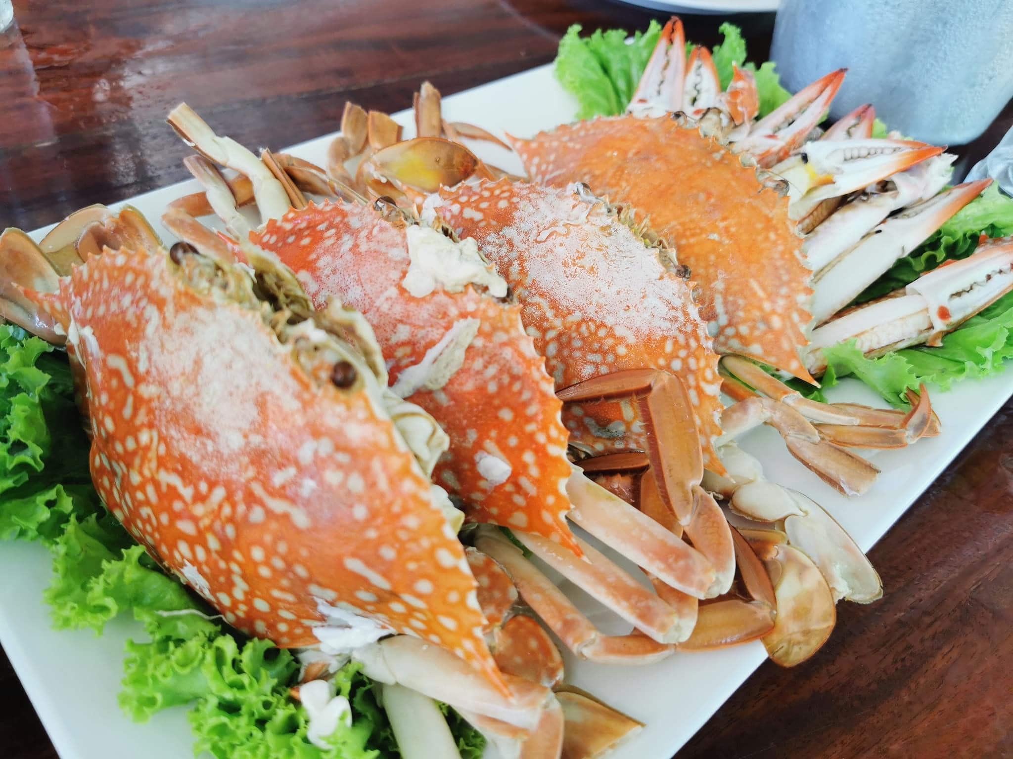 ครัวลุงมันซีฟู้ด, ตั้งฉ่ายซีฟู้ด, บ้านไร่น้ำอิง, พรทะเลซีฟู้ด, ศิริกัญญาซีฟู๊ด, ผึ้งทะเลเผา เบอร์ 9, ครัวป้ายืนซีฟู้ด, นู๋ยาซีฟู้ดชะอำ, ครัวเม็ดทราย, บ้านครัวทะเล, ครัวห้วยทราย, Platoo Restaurant, ครัวป้าเฉลียว, ร้านครัวพี่เปี๊ยก บางควาย