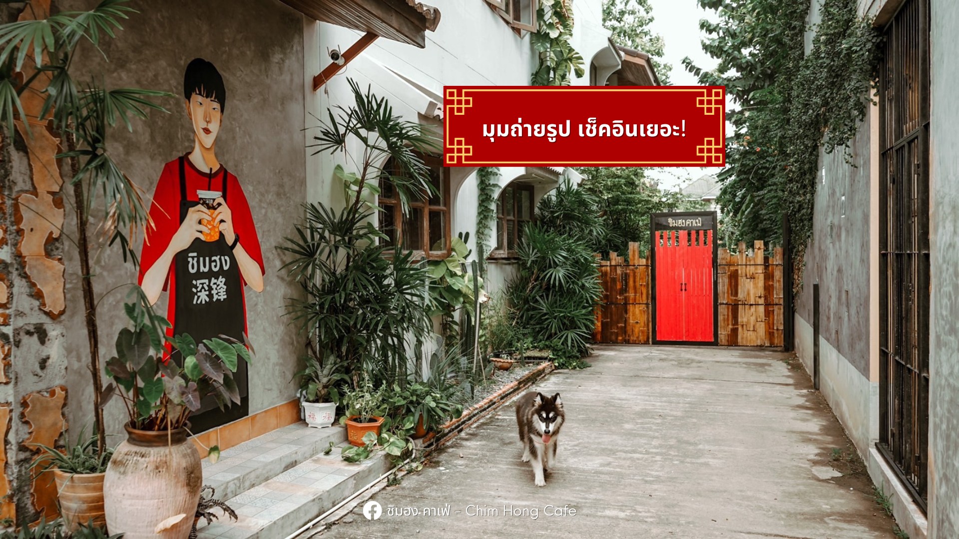 ชิมฮง คาเฟ่ - Chim Hong Cafe, Makesense, Kalamong, เดอ นา คาเฟ่, Benandson Cafe’, Chamcha Cafe, The Weekend Moka, เดี๋ยวเจอสวน&amp;คาเฟ่, Caffe' De Chalawan, Black Hat, Mouth Cafe, Apsara Café Phichit