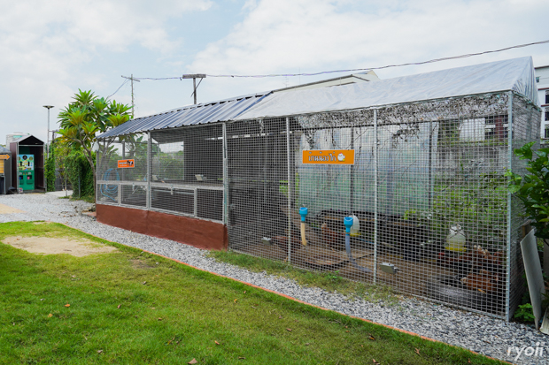 Kiddies’ House, ม้าก้านกล้วย คิดส์คาเฟ่, Little sheep kids cafe, Kickinkids, Moana Cafe, Organika Cafe and Play, Little Barn Kids Cafe, Pumpkin Art Town, DUBUA CAFE, FARM LUCK, Dressage Horse Café, Buttercup, Mari go round