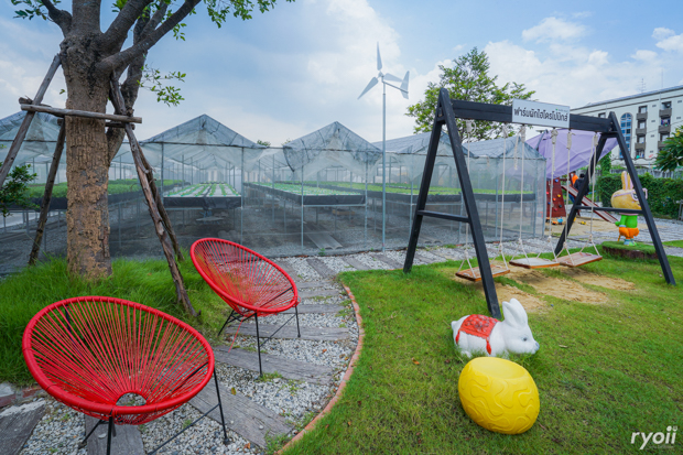 Kiddies’ House, ม้าก้านกล้วย คิดส์คาเฟ่, Little sheep kids cafe, Kickinkids, Moana Cafe, Organika Cafe and Play, Little Barn Kids Cafe, Pumpkin Art Town, DUBUA CAFE, FARM LUCK, Dressage Horse Café, Buttercup, Mari go round