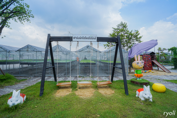 Kiddies’ House, ม้าก้านกล้วย คิดส์คาเฟ่, Little sheep kids cafe, Kickinkids, Moana Cafe, Organika Cafe and Play, Little Barn Kids Cafe, Pumpkin Art Town, DUBUA CAFE, FARM LUCK, Dressage Horse Café, Buttercup, Mari go round