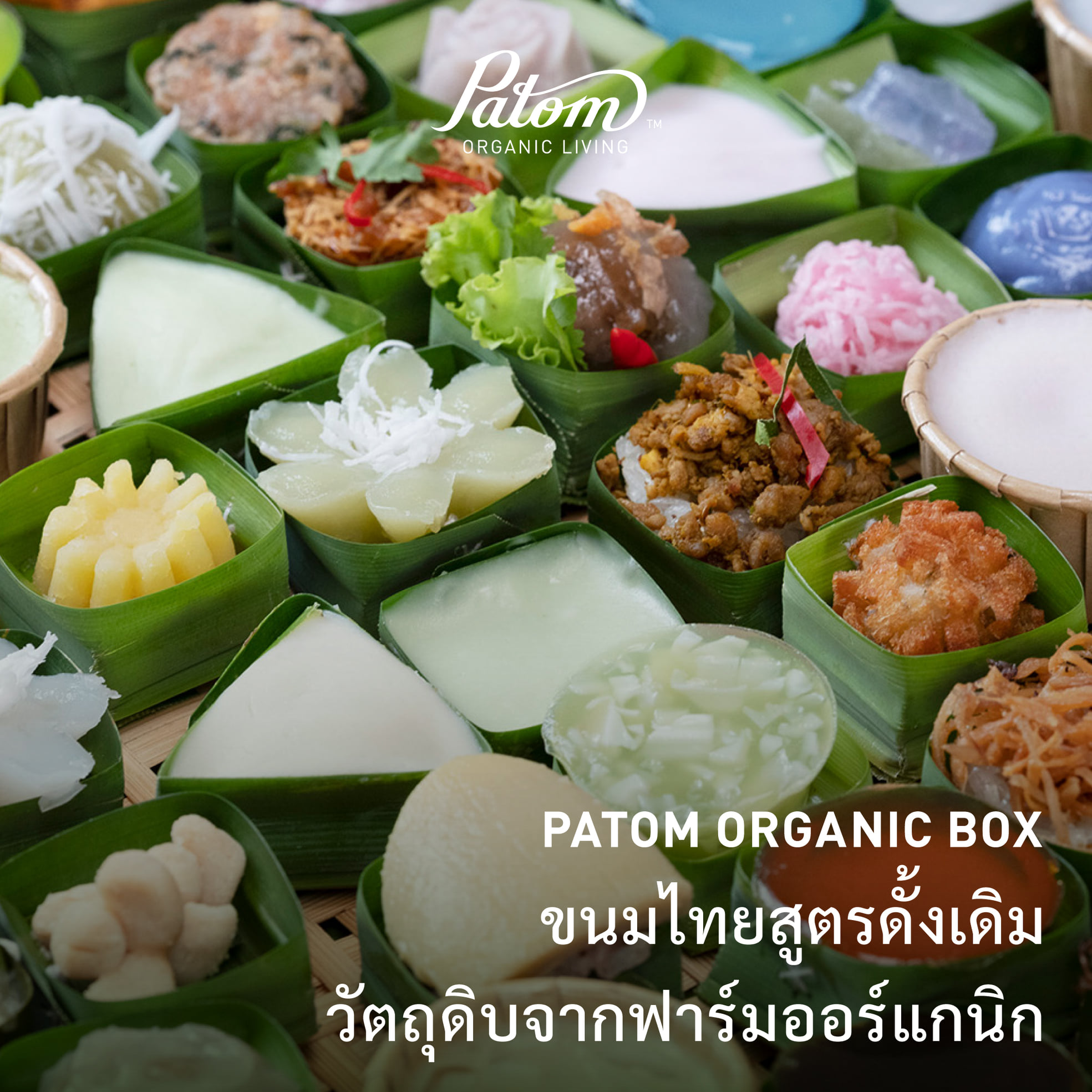 บ้านสวย ในสวน, Siam Brasserie , The Treehouse Nongchok, Natura Cafe, BaanNaiSuan Cafe&amp;Yoga, Patom, Portobello &amp; Désiré, ครัวบ้านสวนสุวรรณ, ร้านอาหารฐิตารีย์ สวนรถไฟ จตุจักร, บ้านสวน อบอวลรัก