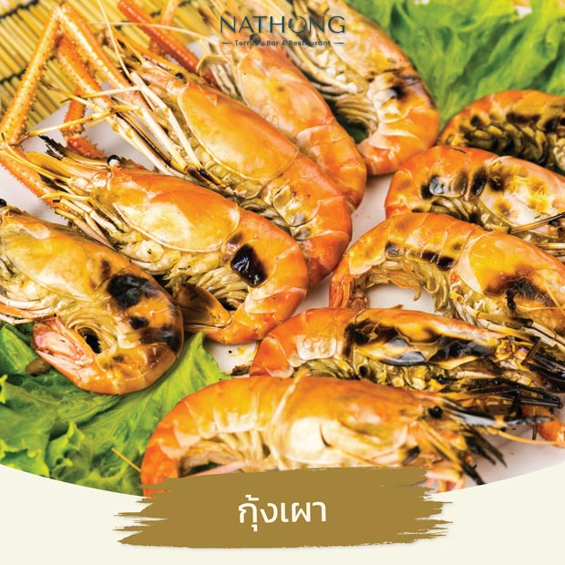 RARIN : BKK Riverside Venue, บ้านเอกเขนก ชัยพฤกษ์, The local Restaurant, Waterside Karaoke Restaurant, พหลวิว, River Wine Karaoke Restaurant, Green Bar and Restaurant, Chocolate Ville, Hard Rock Cafe Bangkok