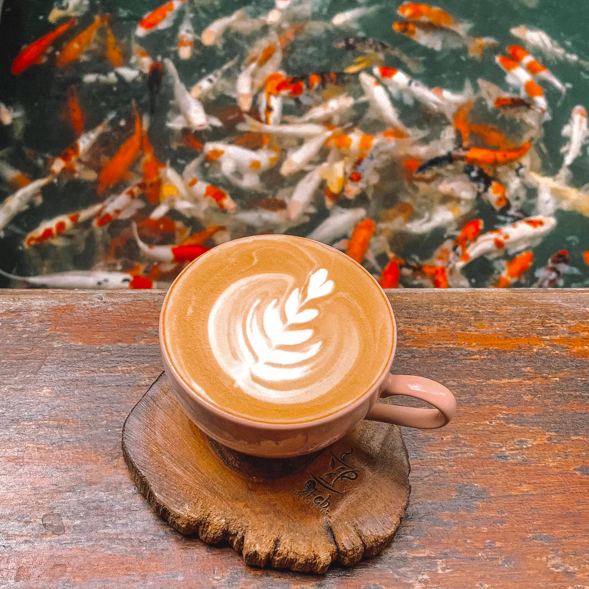 sisterhood.cafe, Dripster HOUSE café, Wood Rather, Sanyongcafe, คลองอ้อมคาเฟ่