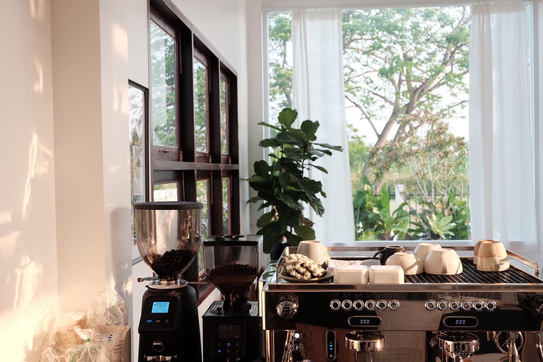 sisterhood.cafe, Dripster HOUSE café, Wood Rather, Sanyongcafe, คลองอ้อมคาเฟ่