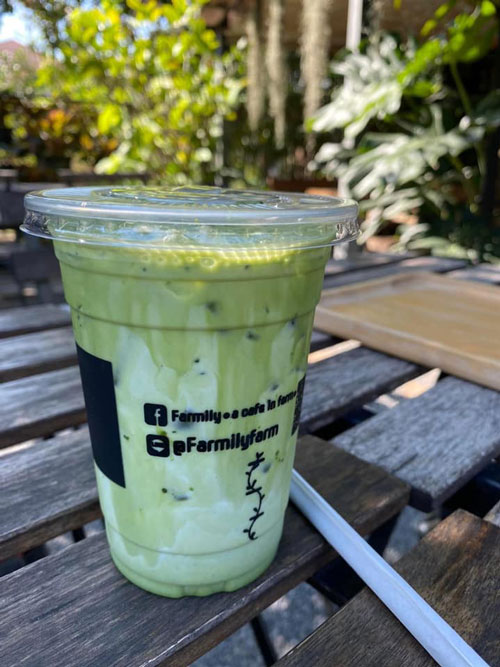 Hansacafe.food.garden, Green House Bistro, BECX, Plantnery Green Café, Langbaan cafe&amp;chill, ฉลู คาเฟ่, Mom’s Veggie Cafe, Another Home Cafe, Me Long Cafe, ร.เรือตัวอ้วน, Slot Co-Working Space, Mitte Coffee, Mita Coffee and Art, Bluebell Café, 10cc Coffee