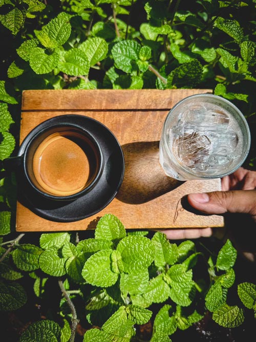 Hansacafe.food.garden, Green House Bistro, BECX, Plantnery Green Café, Langbaan cafe&amp;chill, ฉลู คาเฟ่, Mom’s Veggie Cafe, Another Home Cafe, Me Long Cafe, ร.เรือตัวอ้วน, Slot Co-Working Space, Mitte Coffee, Mita Coffee and Art, Bluebell Café, 10cc Coffee