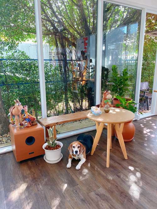 Hansacafe.food.garden, Green House Bistro, BECX, Plantnery Green Café, Langbaan cafe&amp;chill, ฉลู คาเฟ่, Mom’s Veggie Cafe, Another Home Cafe, Me Long Cafe, ร.เรือตัวอ้วน, Slot Co-Working Space, Mitte Coffee, Mita Coffee and Art, Bluebell Café, 10cc Coffee