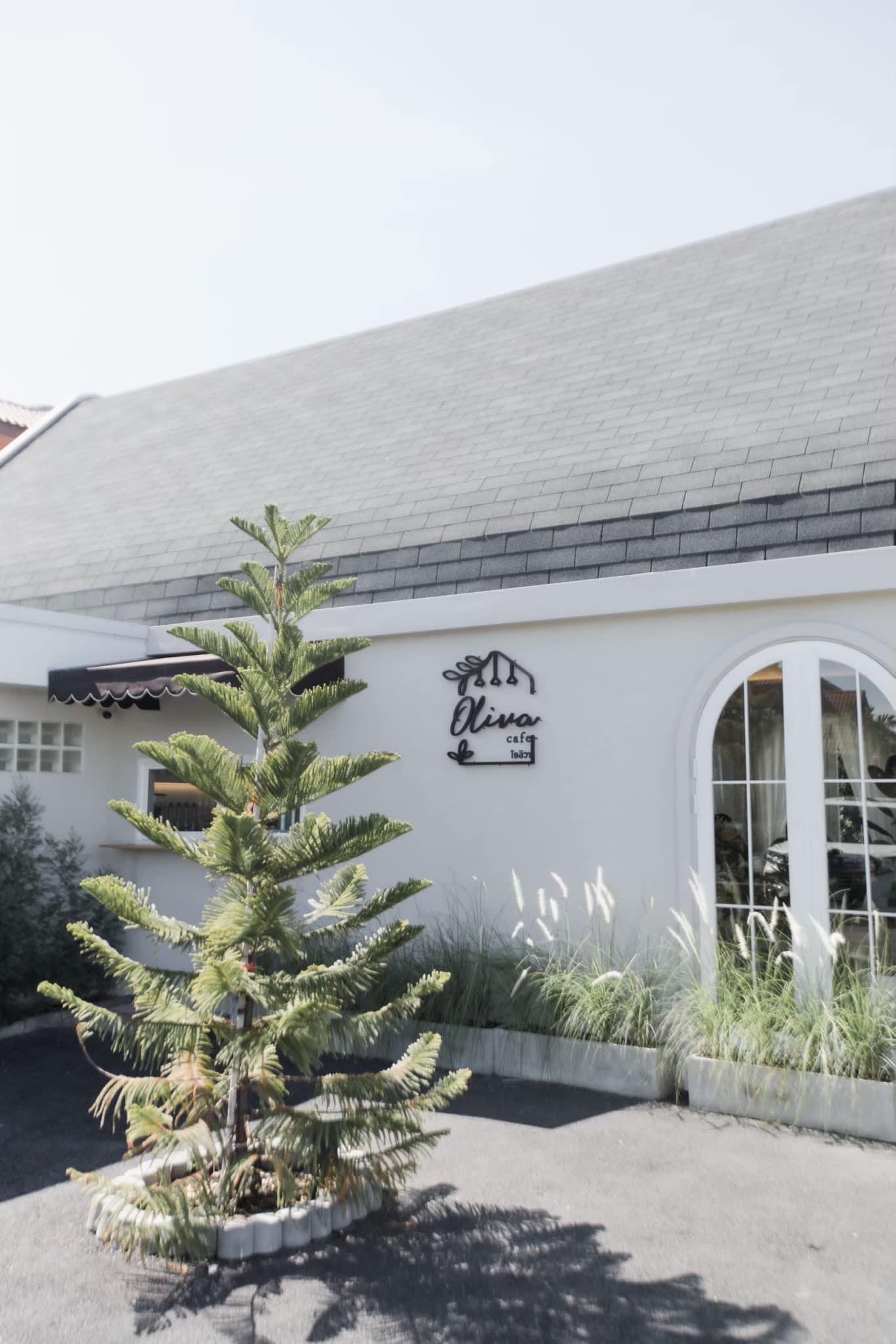 Smitten Cafe and Decor, Thong Ampai Café, THREE Cafe, Continue.cafe, Sunday in 345 cafe, Aprilhouse, The Aileen Cafe', Oliva Cafe, The Kottage Cafe, Plant Cafe, ปิ่นโตนามีตาล, Baan Kanom De'Pathum, Pumpkin Art Town, Mushroom Hut Cafe, KAD Cafe - กาด คาเฟ่, ADAM cafe