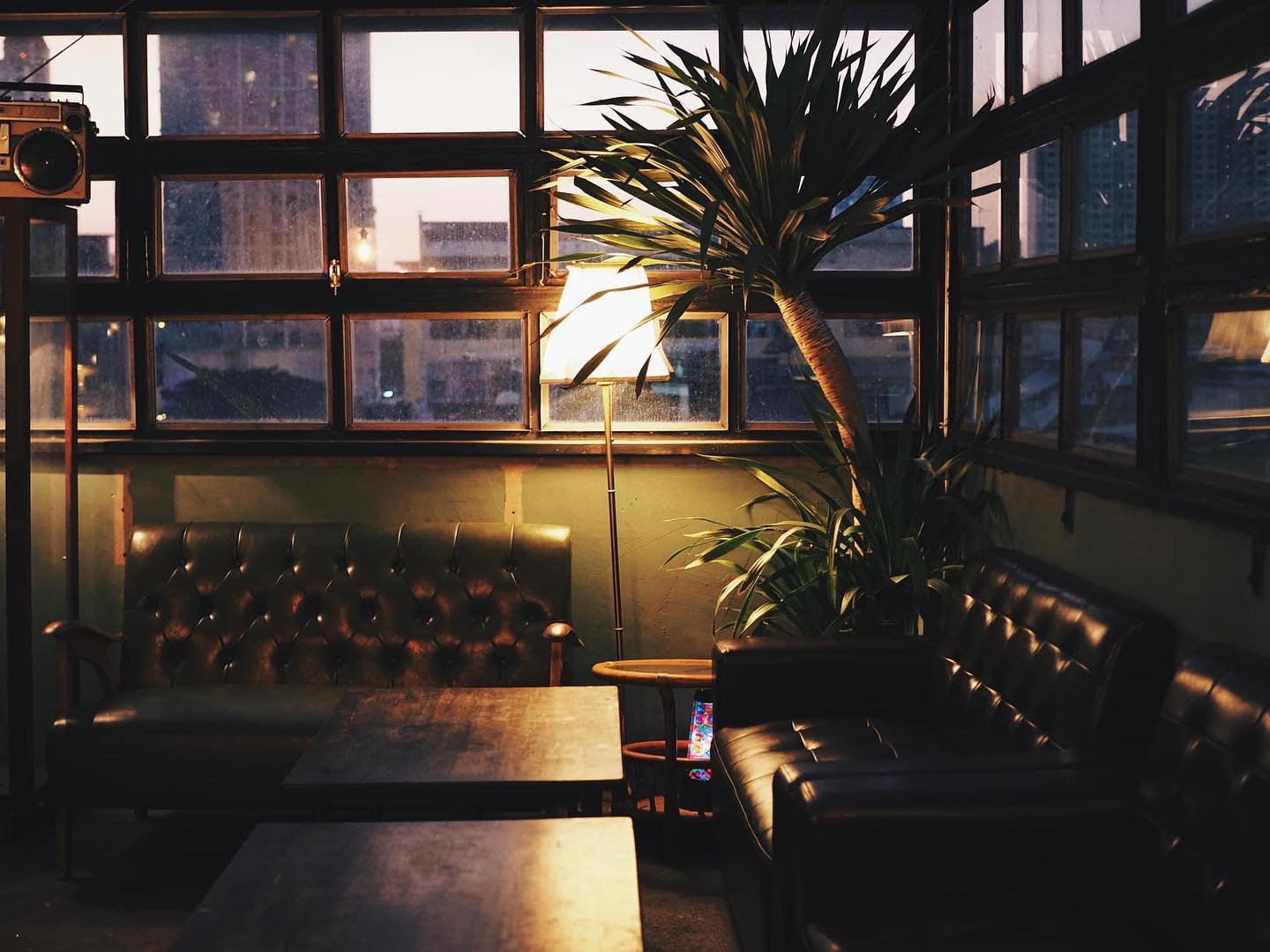 Level 50 by SEE FAH, Sanay Rooftop Bar, Cosmo Bar Bkk, Flashback Rooftop Bar, Dumbo BKK, Wallflowers Cafe, LeeLa Bar, 342 Bar, Peak-A-Boo Bar, SwingBar